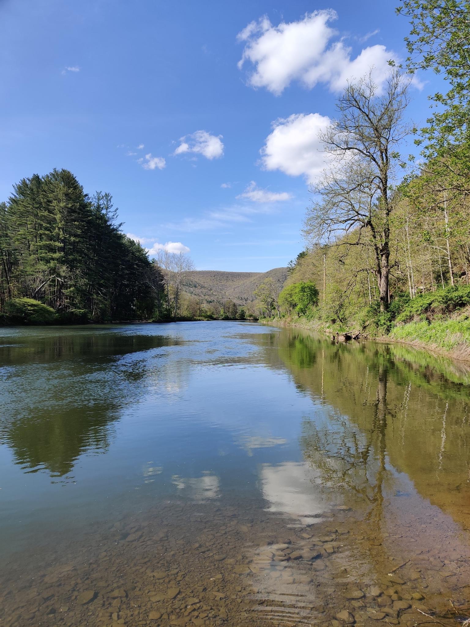 Wide, clear river reflecting blue sky and forested banks on a sunny day.