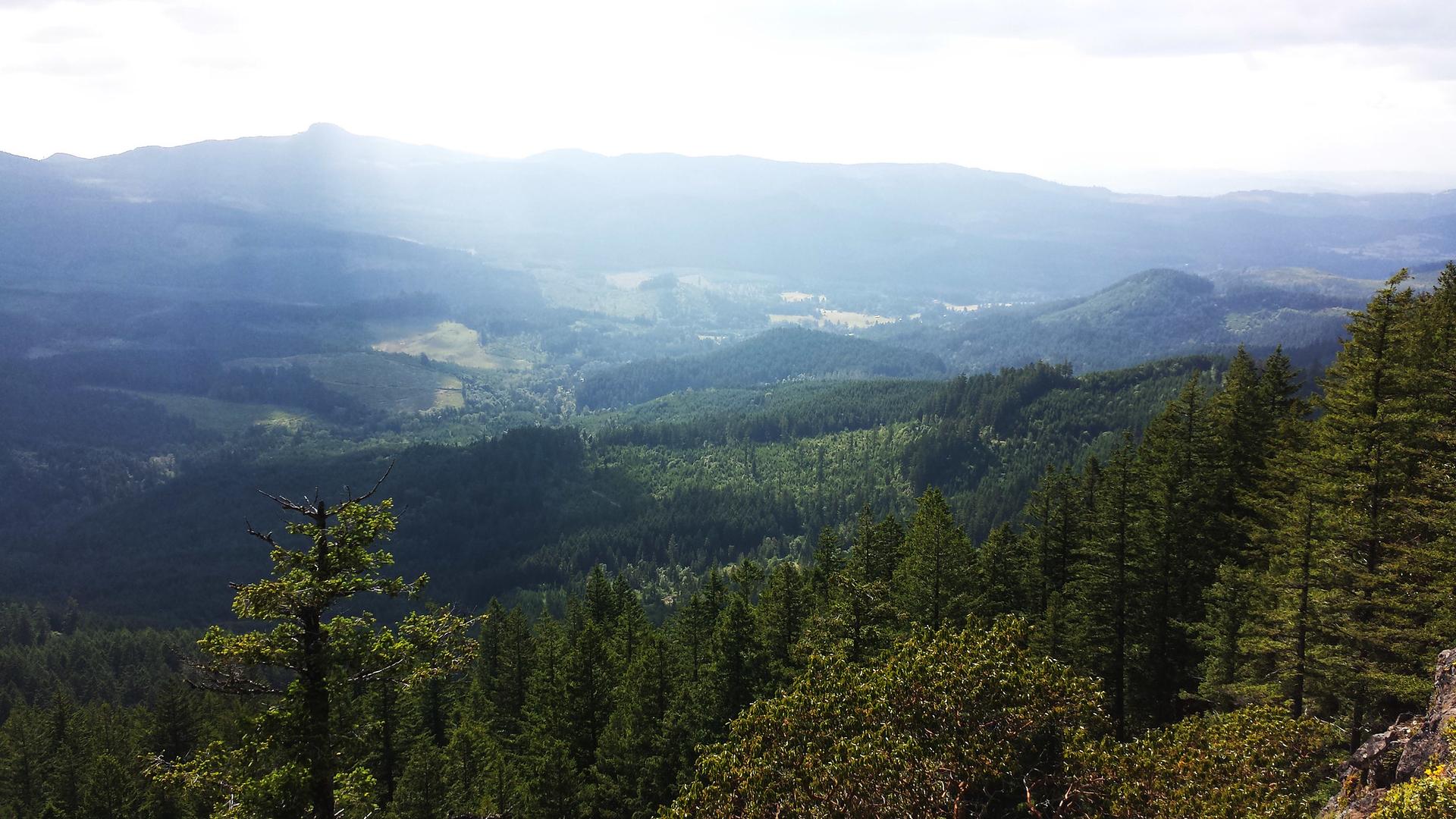 Sunlight pierces through clouds over a vast, forested mountain landscape.