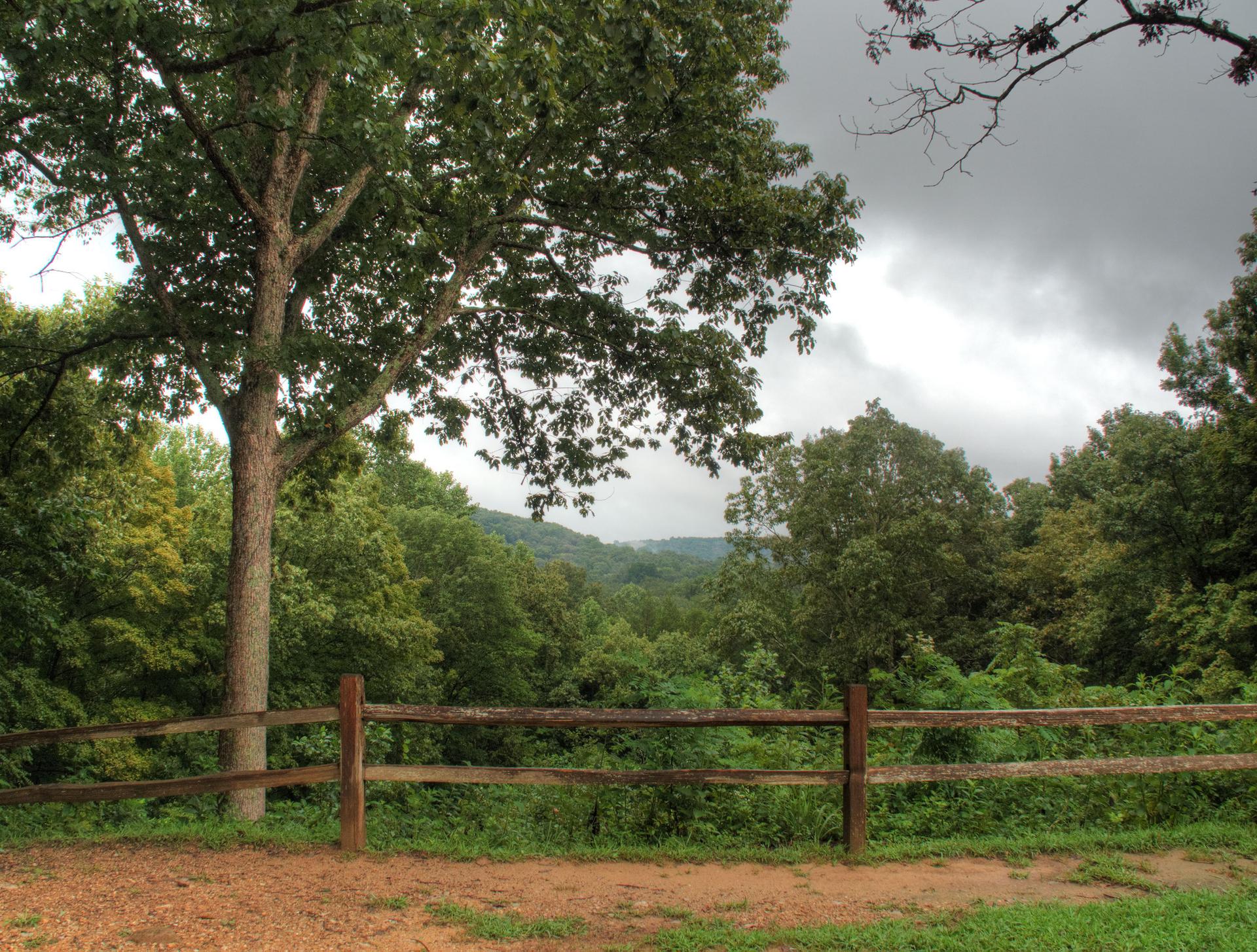A wooden fence overlooks a vast, green, tree-covered landscape under cloudy skies.