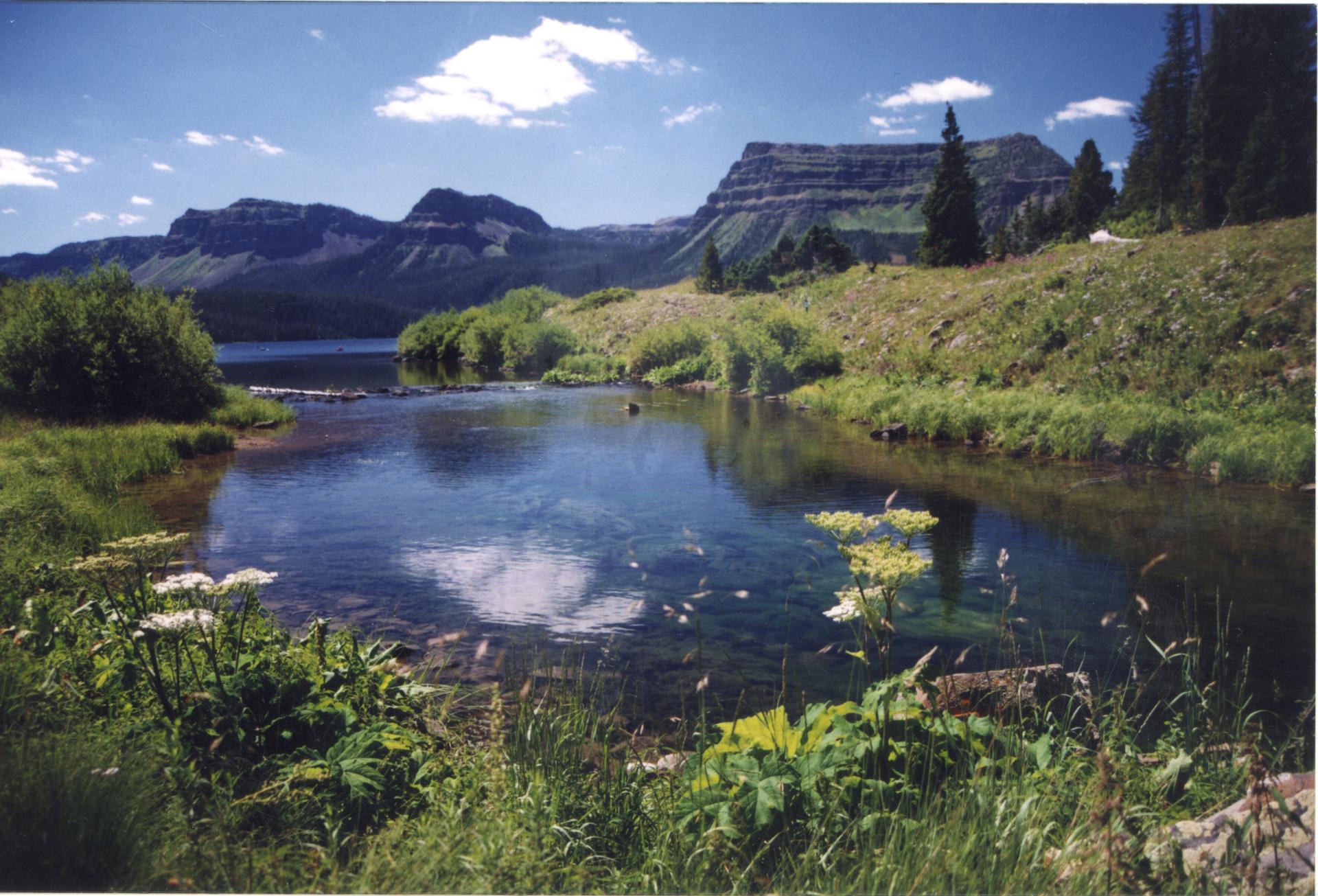 Sunny mountain landscape with a clear stream flowing into a lake.