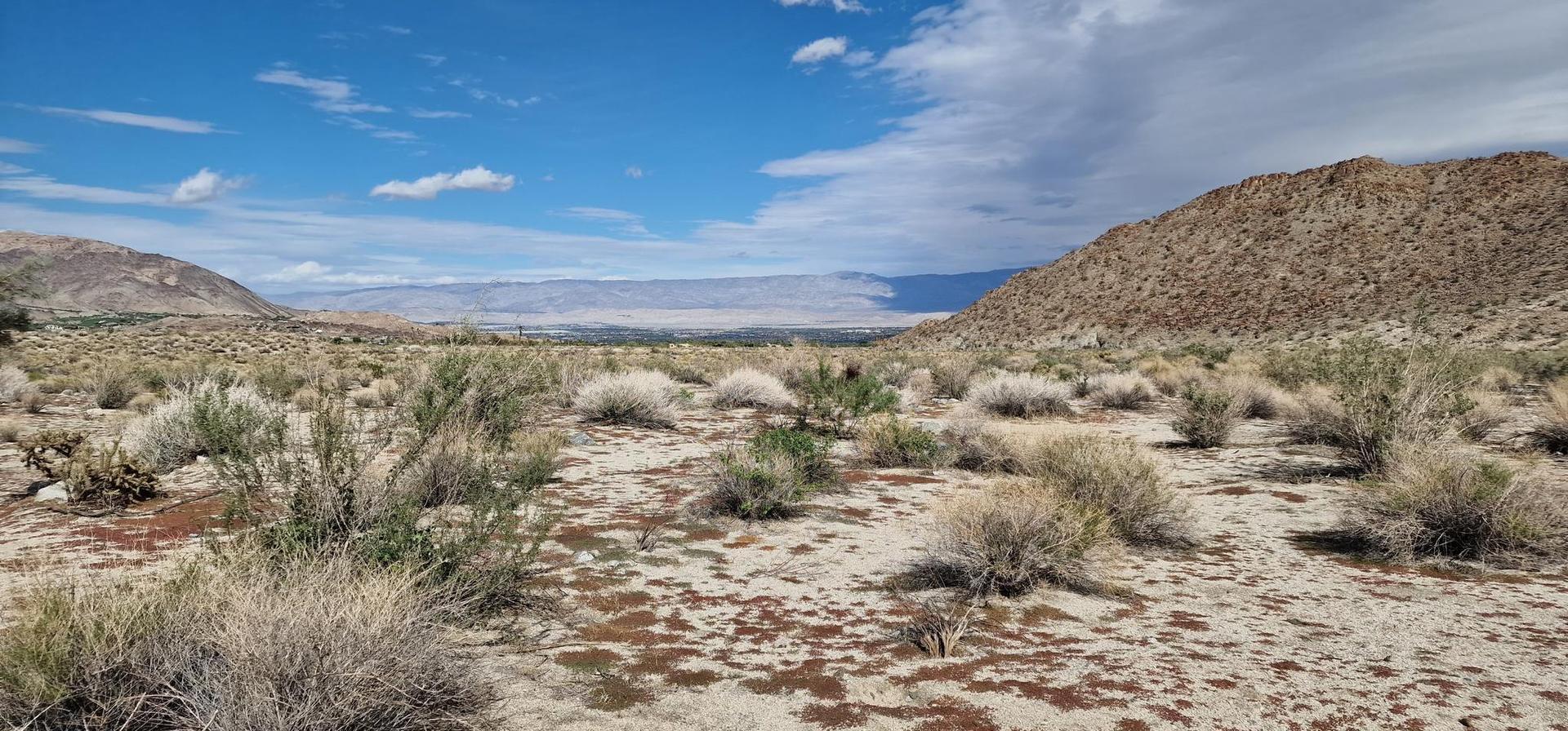 Expansive desert landscape with low brush and distant mountains under a cloudy sky.
