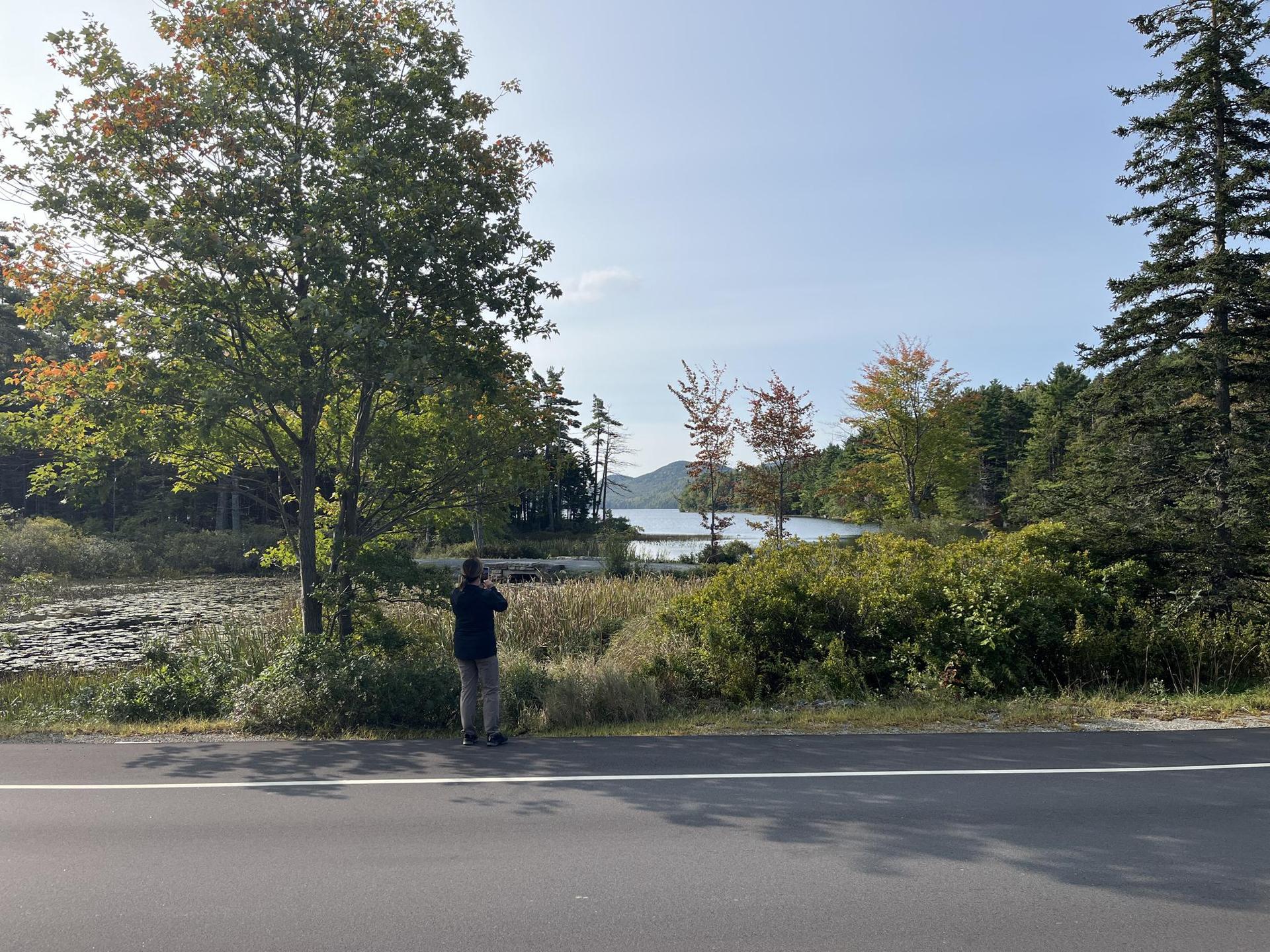 A person stands by a road, viewing a lake and autumn trees.