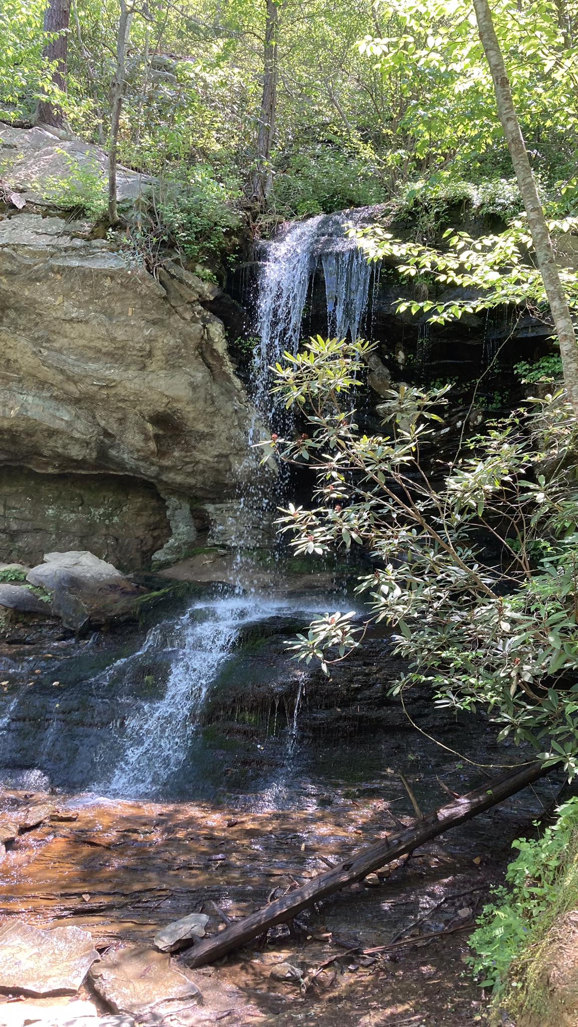 A waterfall cascades over rocks into a stream surrounded by green foliage.