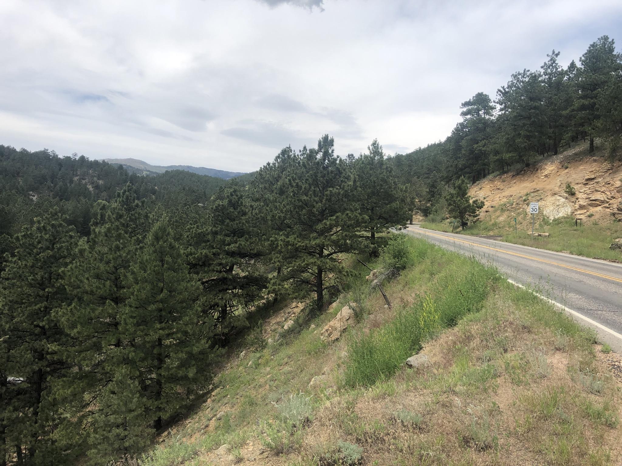 A winding road curves alongside a pine-covered hillside under a cloudy sky.