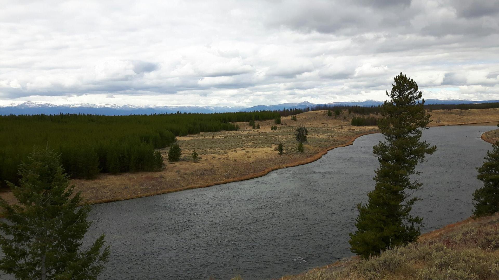River flowing past a dense forest and dry hills under cloudy skies.