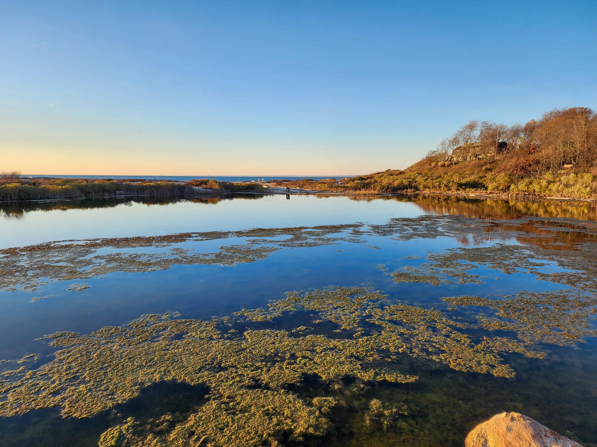 Serene water with algae, reflecting blue sky and sunlit hills.
