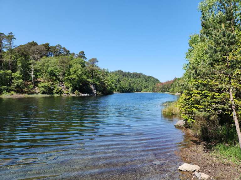 Llyn y Parc Wanderungen und Rundwege komoot