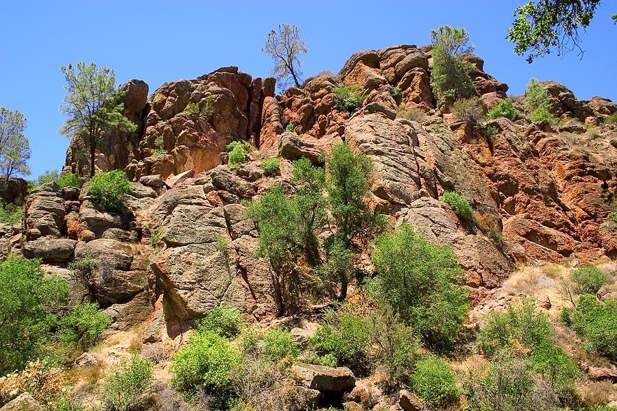 Steep, rocky hillside with sparse green trees and shrubs under a bright blue sky.