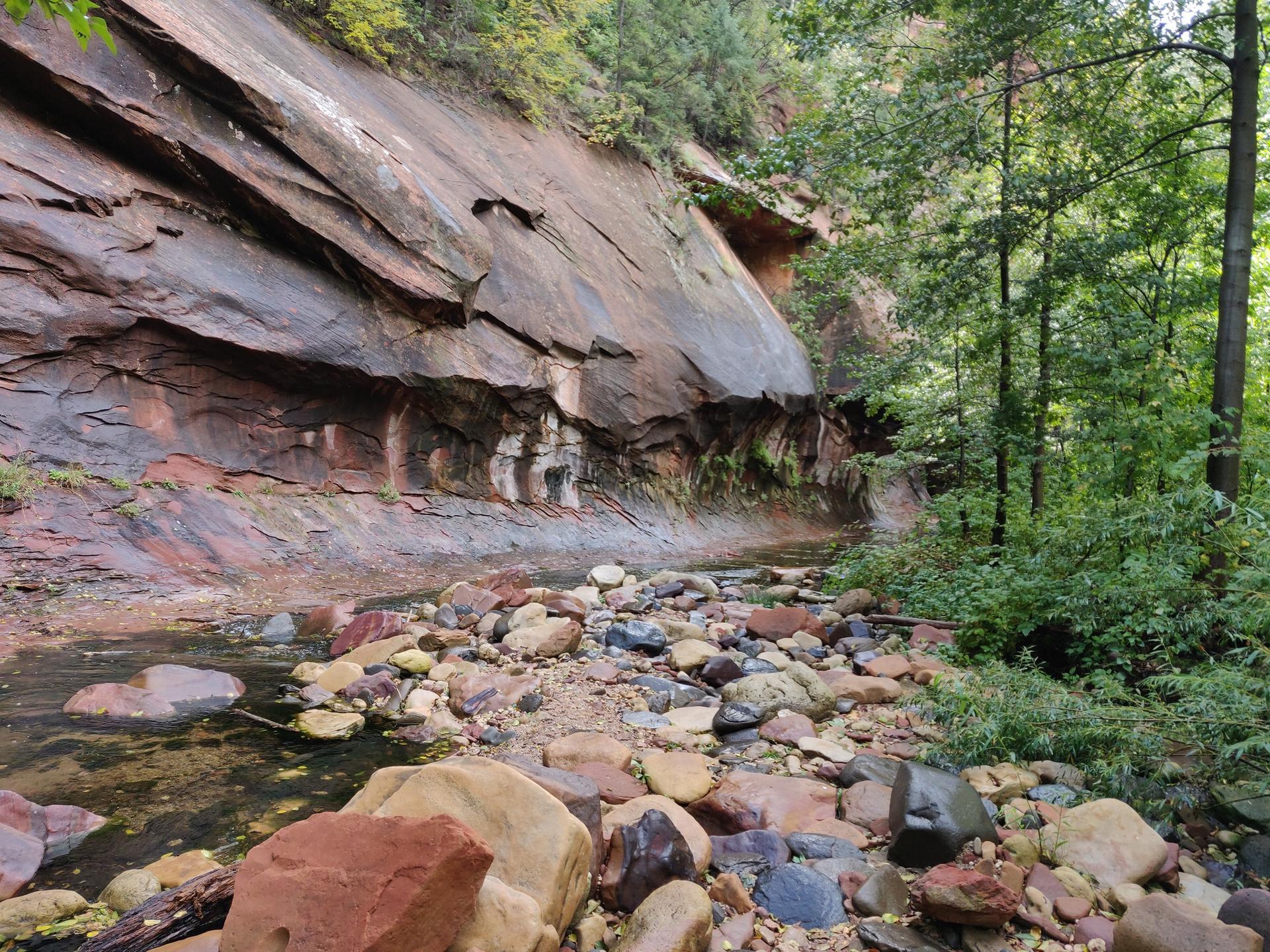 A rocky stream flows beside a towering red rock wall and green trees.