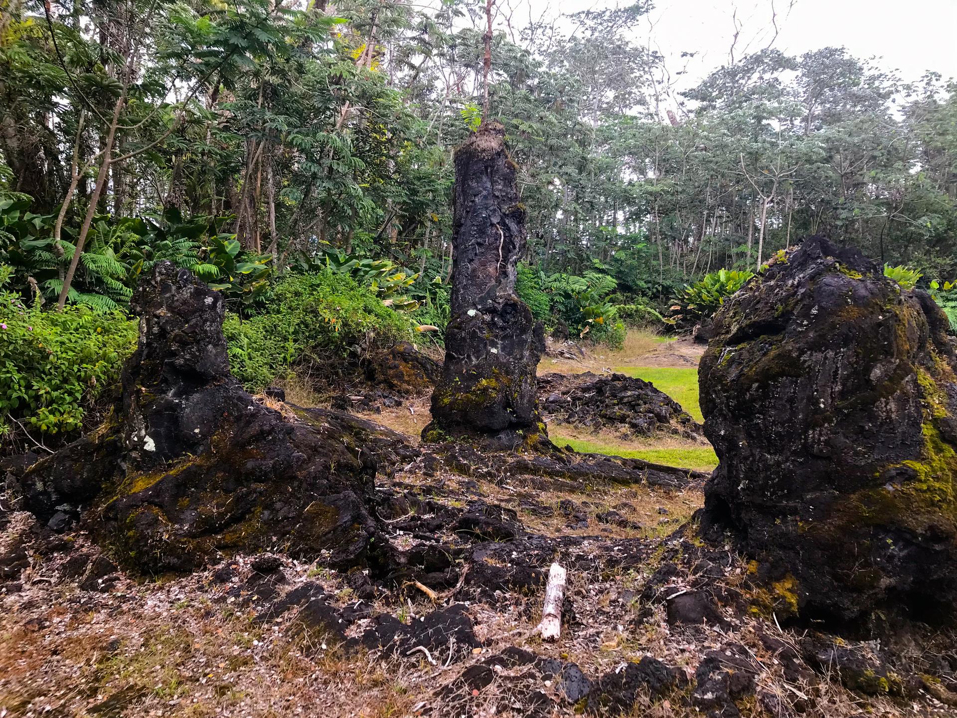 Dark, mossy volcanic rock formations stand amidst lush green foliage under soft light.