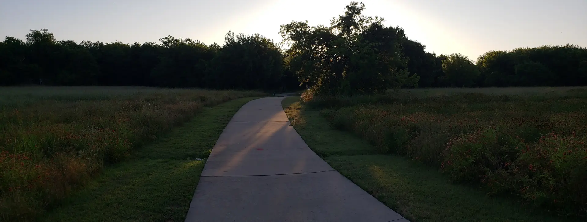 Paved path winding through a grassy field with trees silhouetted at sunset.