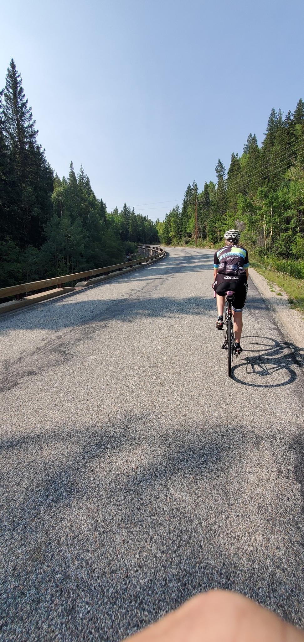 Cyclist on a paved road winding through a dense green forest.