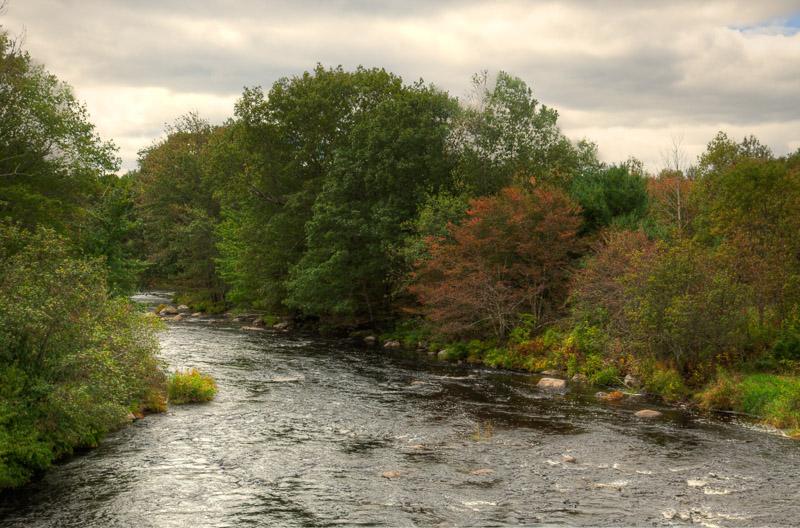A river flows through a forest with autumn trees under a cloudy sky.