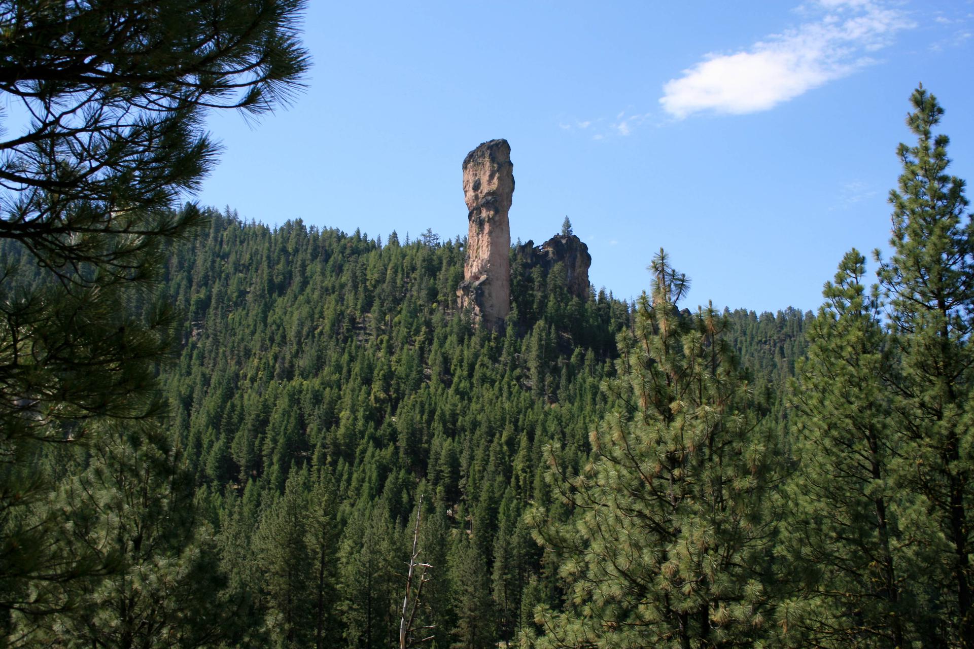 Tall rock pillar rises above a dense evergreen forest under a clear blue sky.