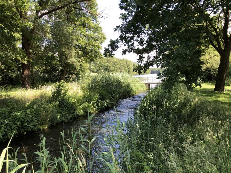 Alte Ems : Radtouren und Radwege | komoot