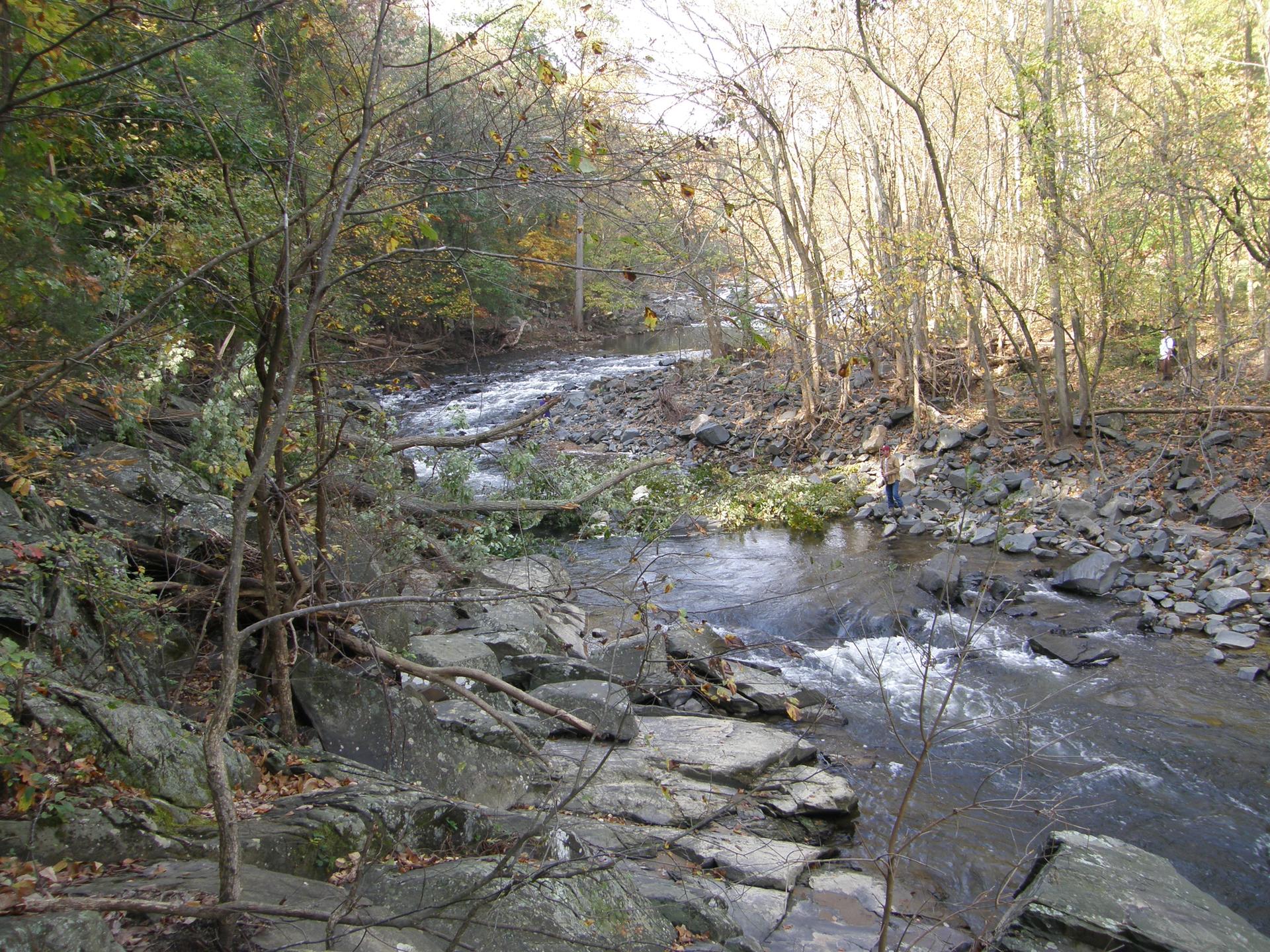 A rocky river flows through a wooded area on an overcast day.
