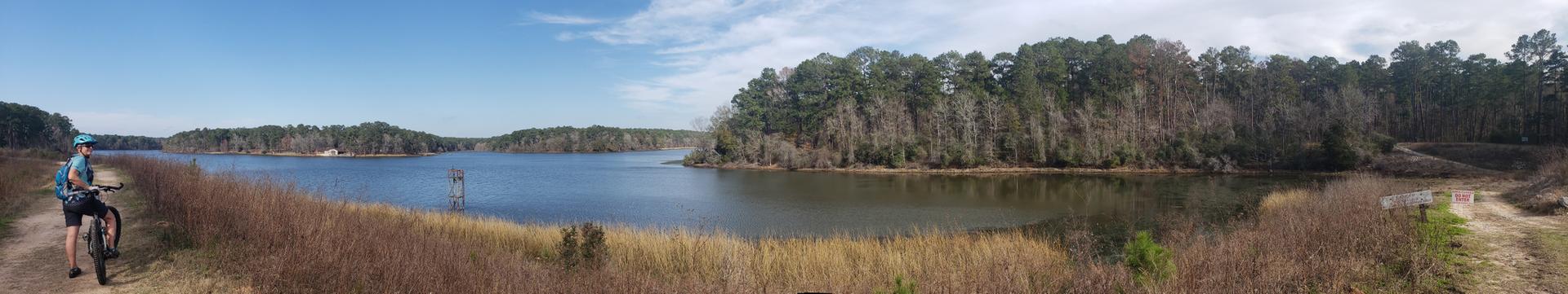 Person with bike overlooks a wide lake surrounded by forests on a clear day.