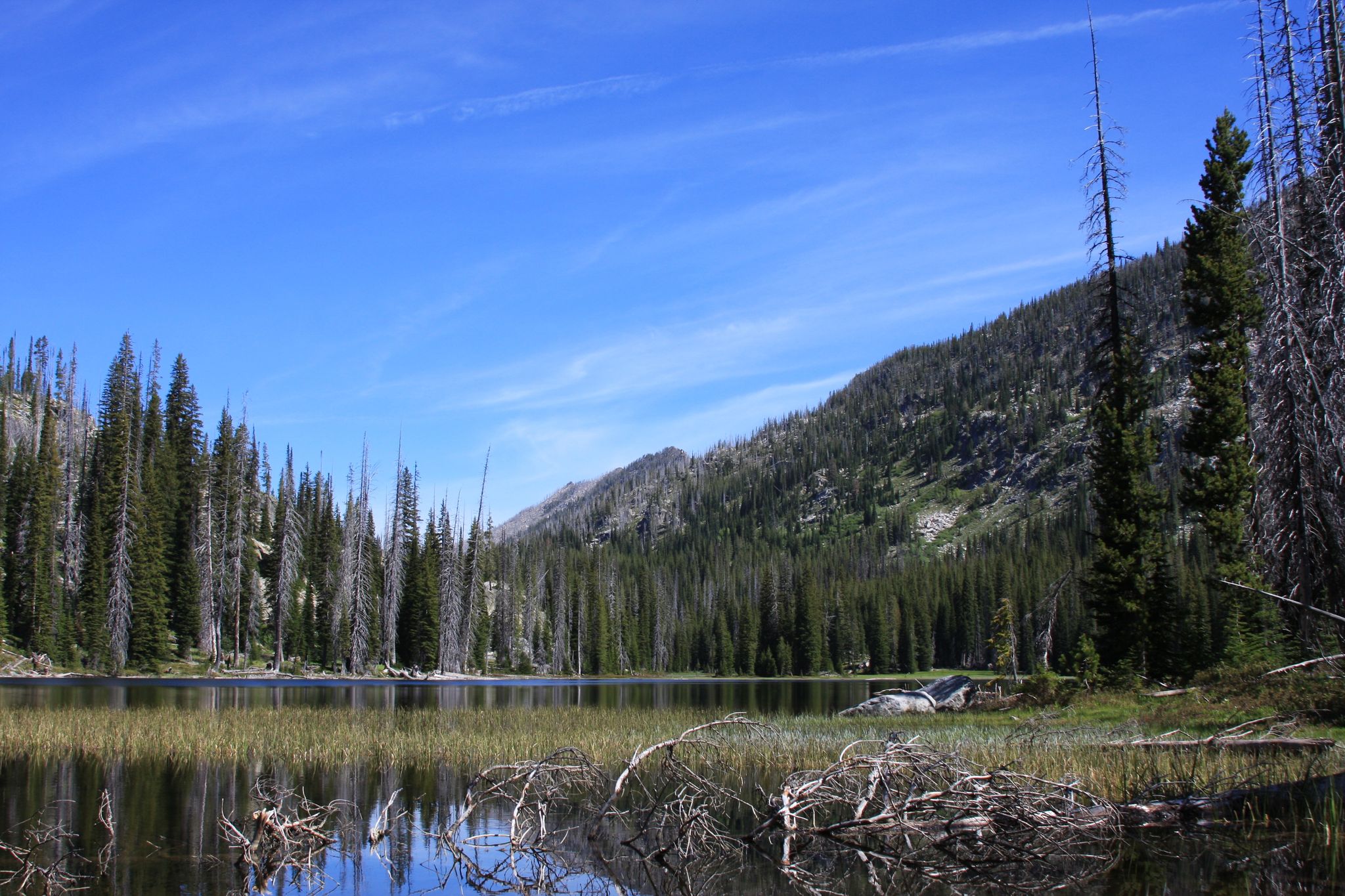 Calm lake reflecting blue sky, surrounded by dense evergreen forest and mountains. - Duck Lake loop from McCall