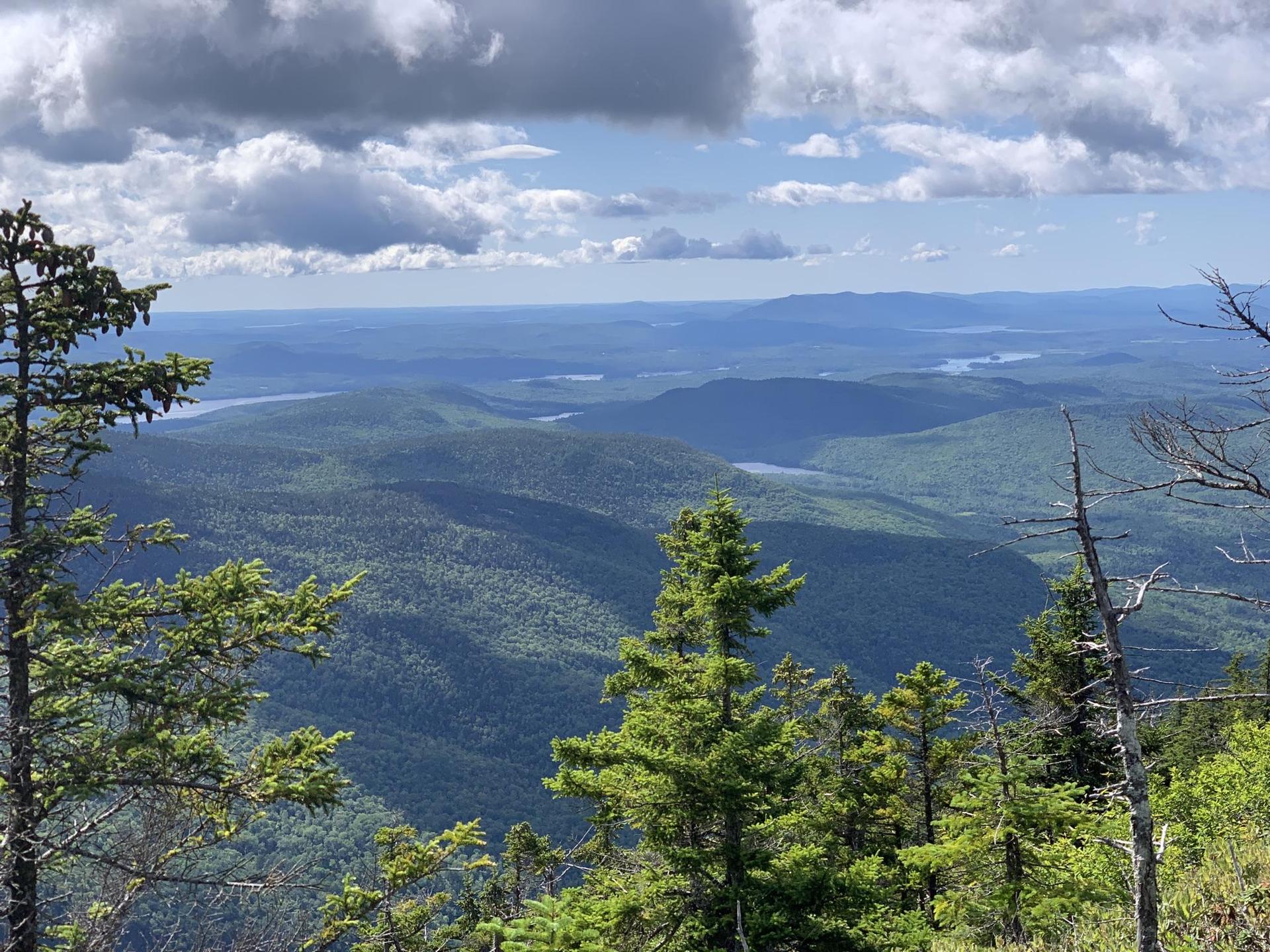 Panoramic view of forested mountains and distant lakes under a cloudy sky.