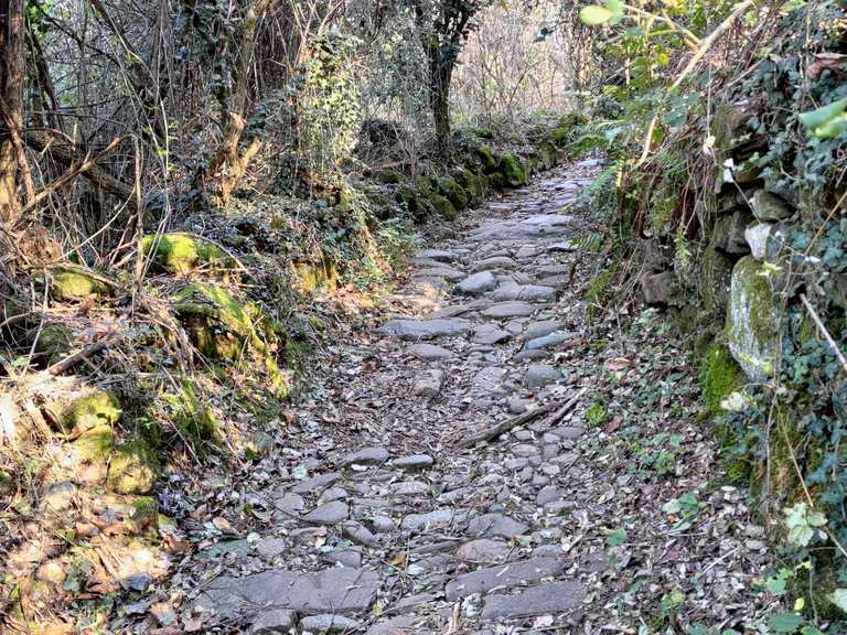 Trail impegnativo con grosse pietre levigate - Mountain Bike Trails ...