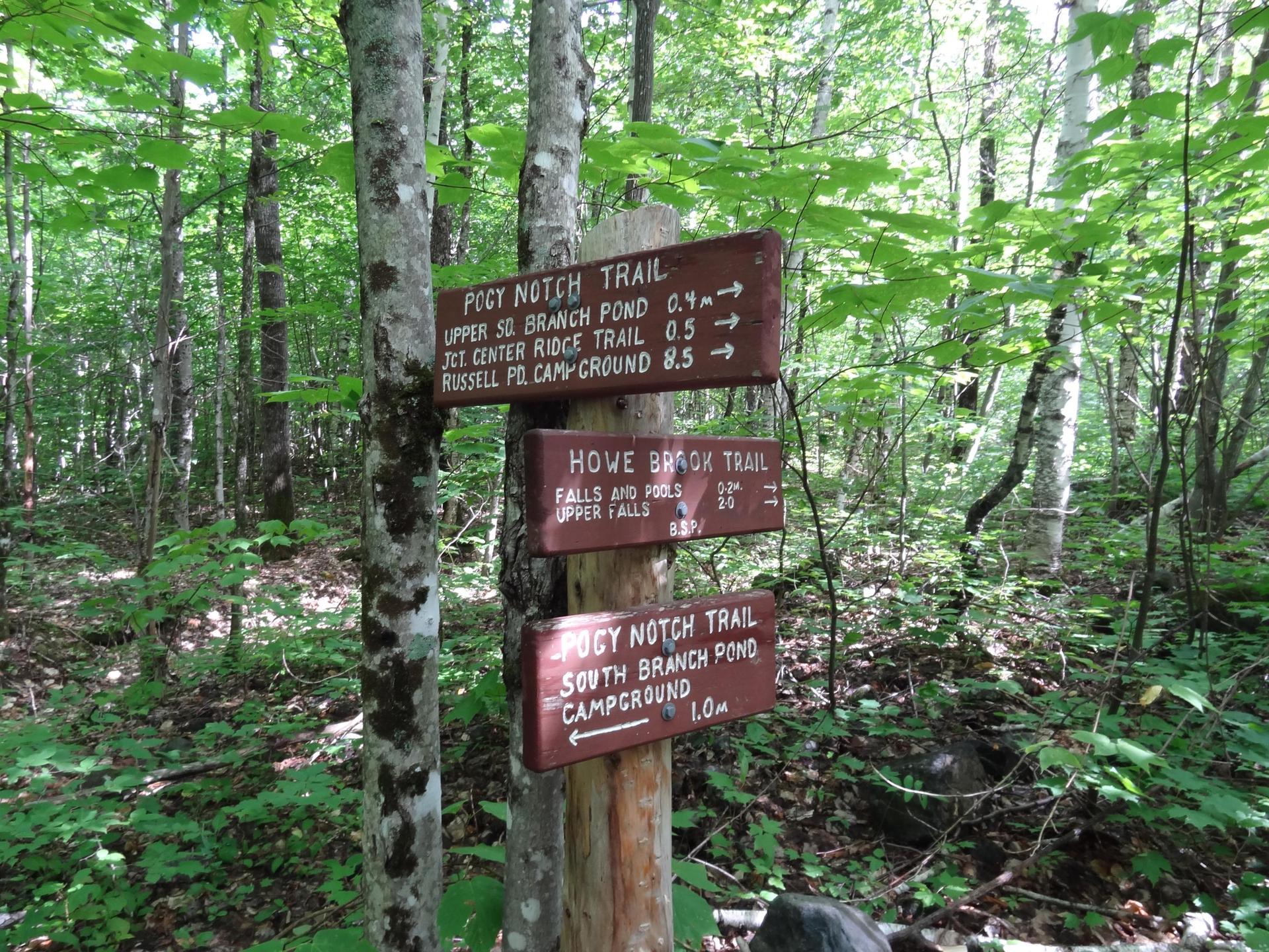 Wooden trail signs stand in a dense, green forest.