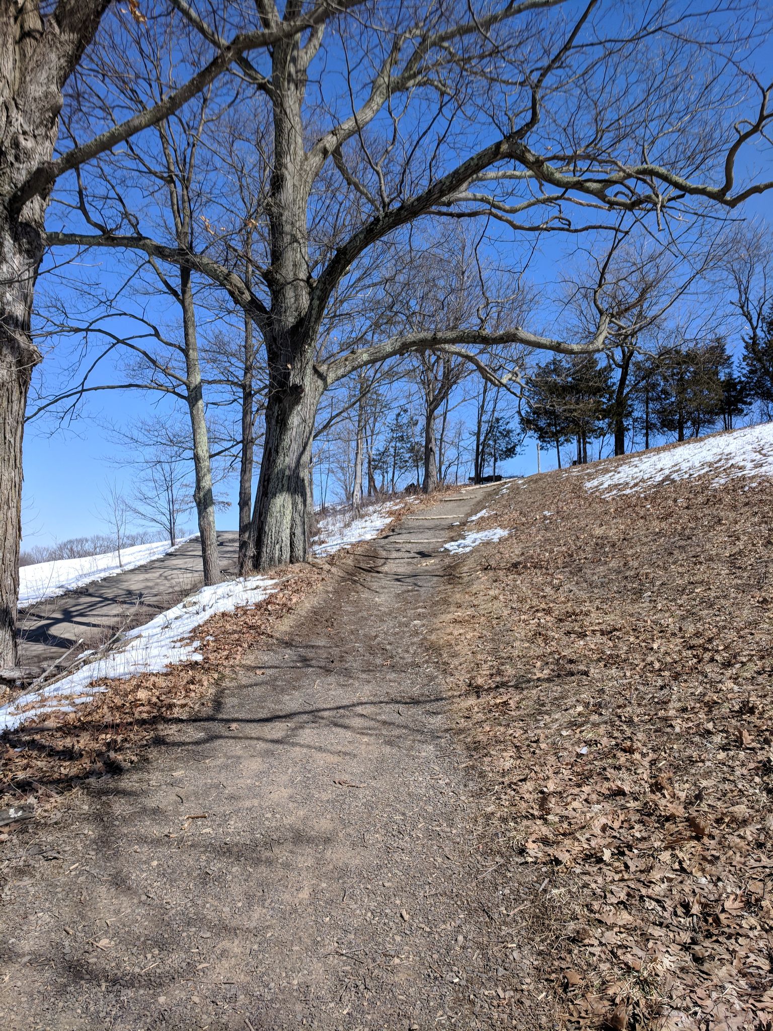 Uphill dirt path with bare trees, patches of snow, and clear blue sky. - Bonticou Crag and Table Rocks Loop