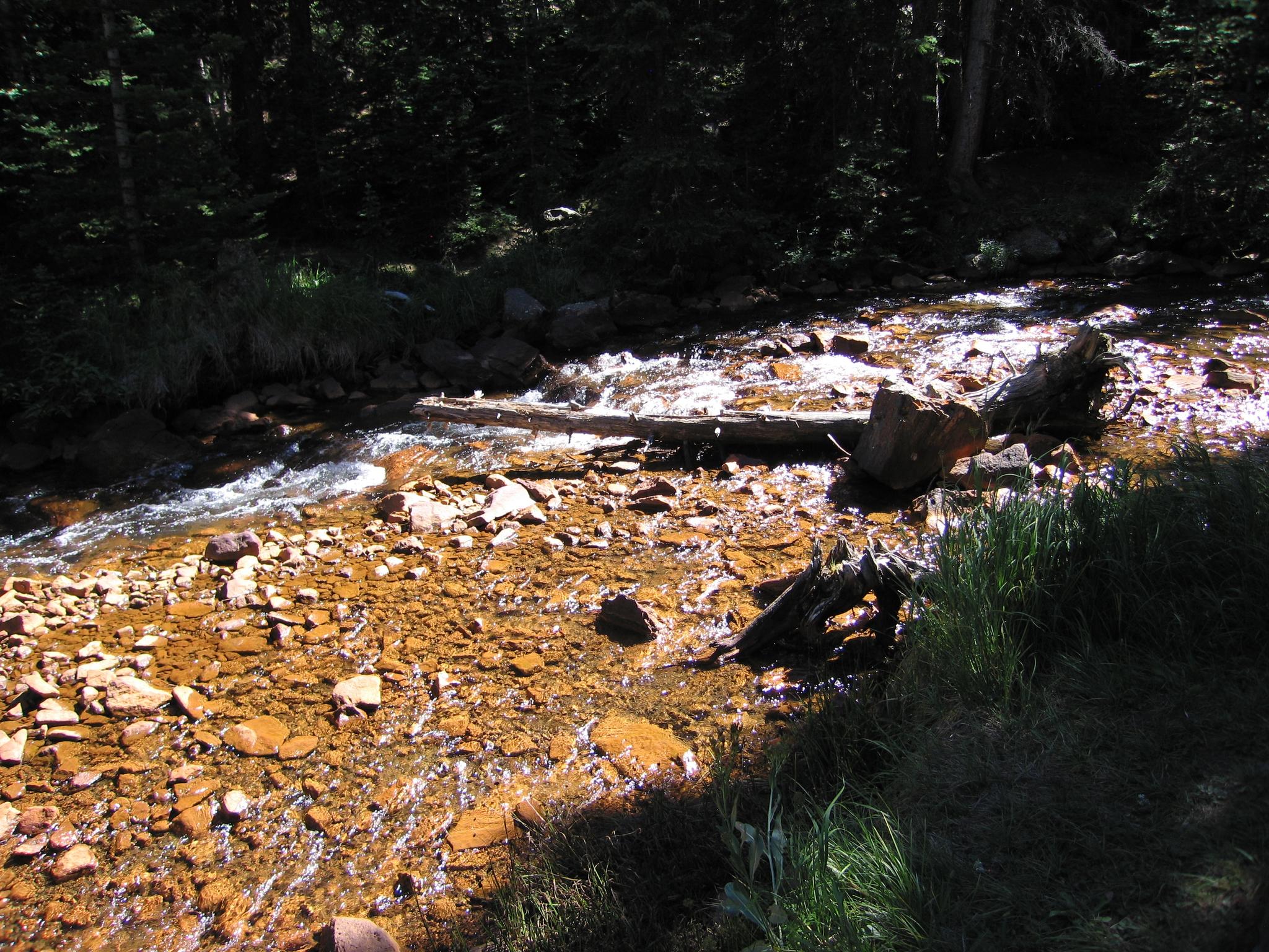 A rocky stream with sunlit water flows through a dark, shaded forest.