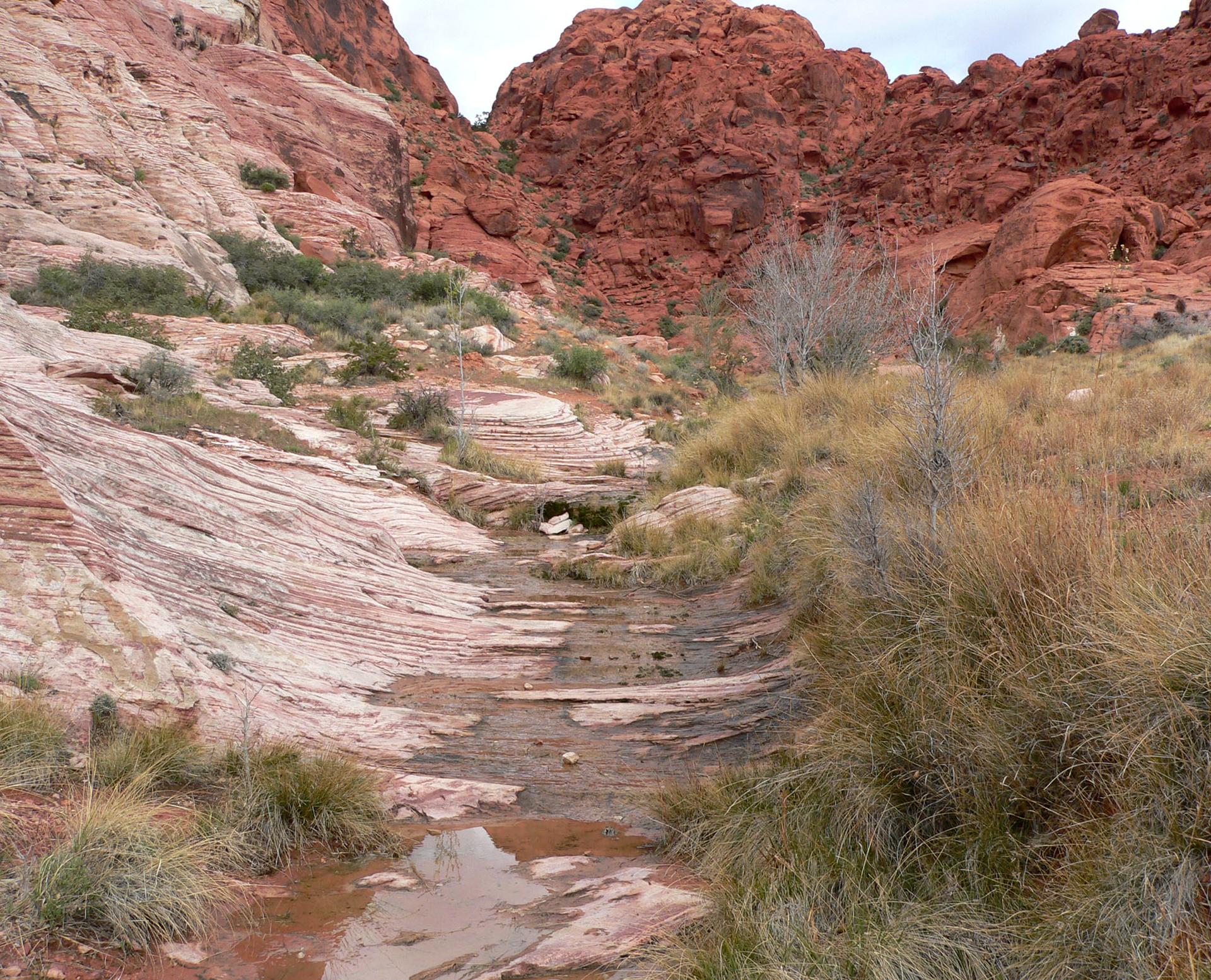 A narrow stream bed winding through layered red and white rock formations.