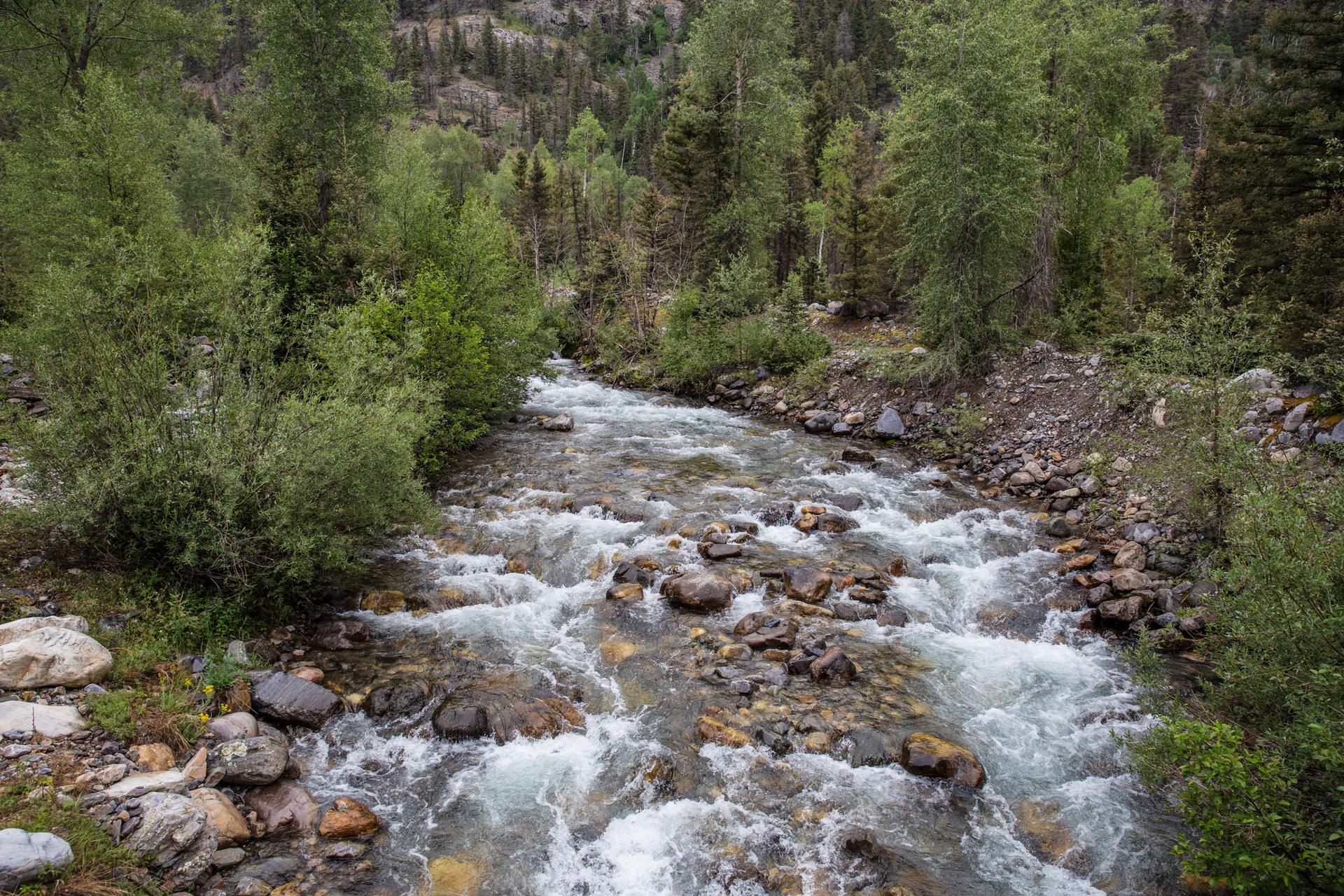 Rushing river flowing through a rocky, forested landscape under diffused light.