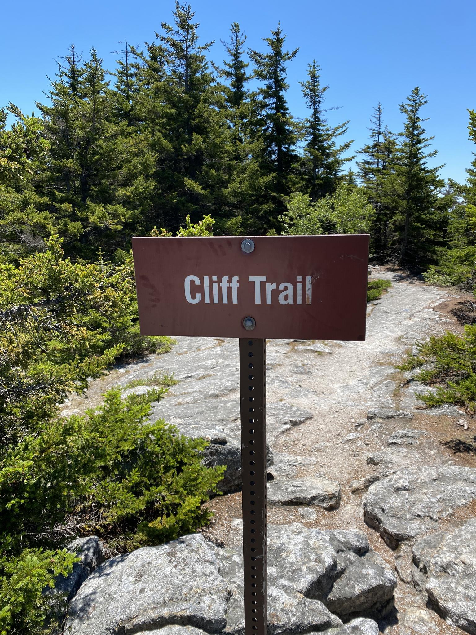 A brown trail sign on a rocky path surrounded by evergreen trees under a blue sky.