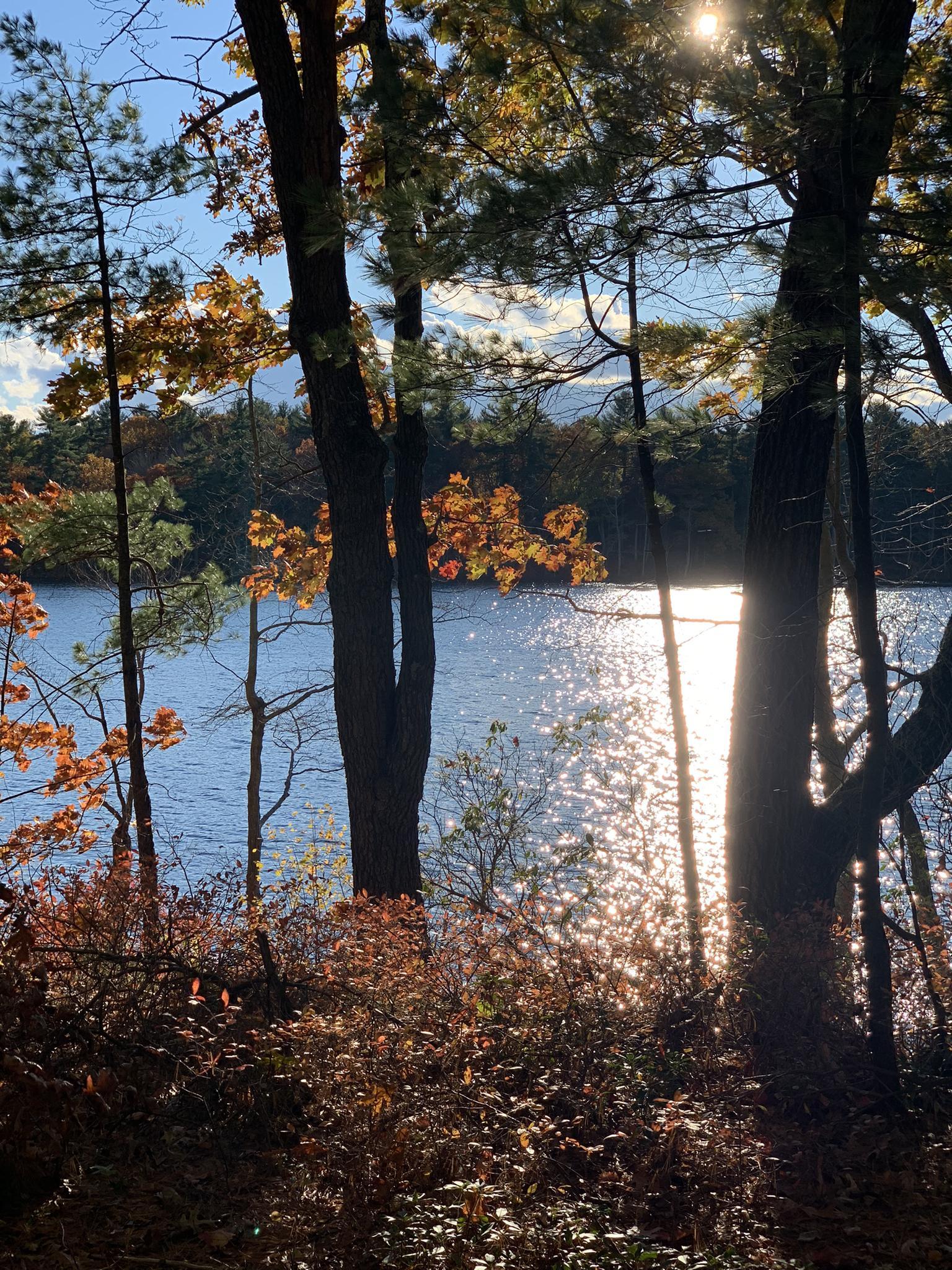 Sunlight glints on a lake through autumn trees and shoreline foliage.