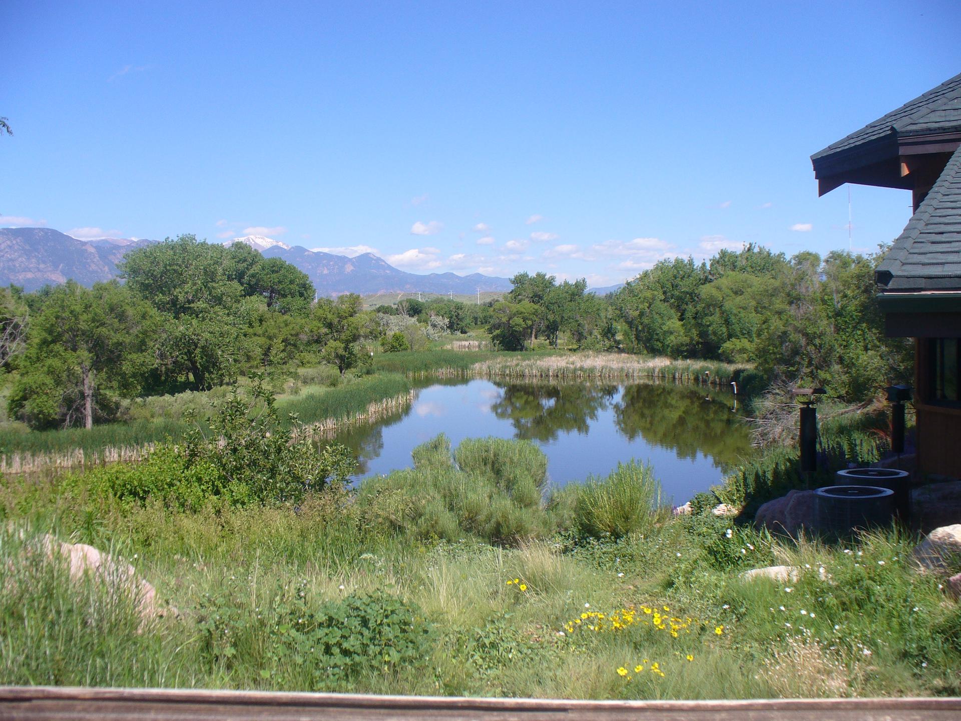 Bright sunny day over a pond surrounded by green trees and distant mountains.