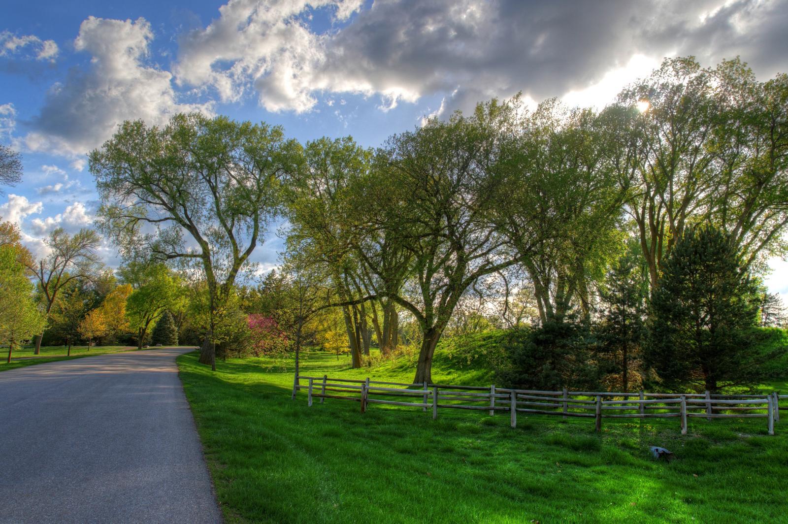 Paved road winding through a park with green trees and a fence.