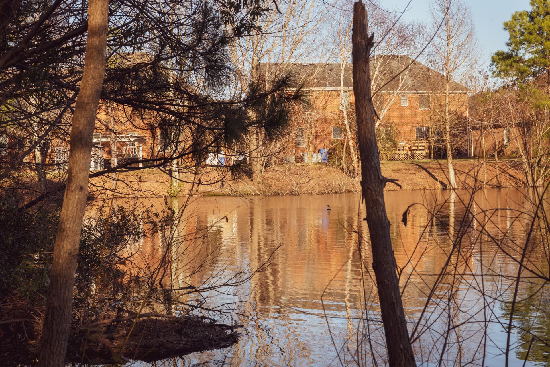 Sunlit pond reflecting houses and bare trees, framed by branches.