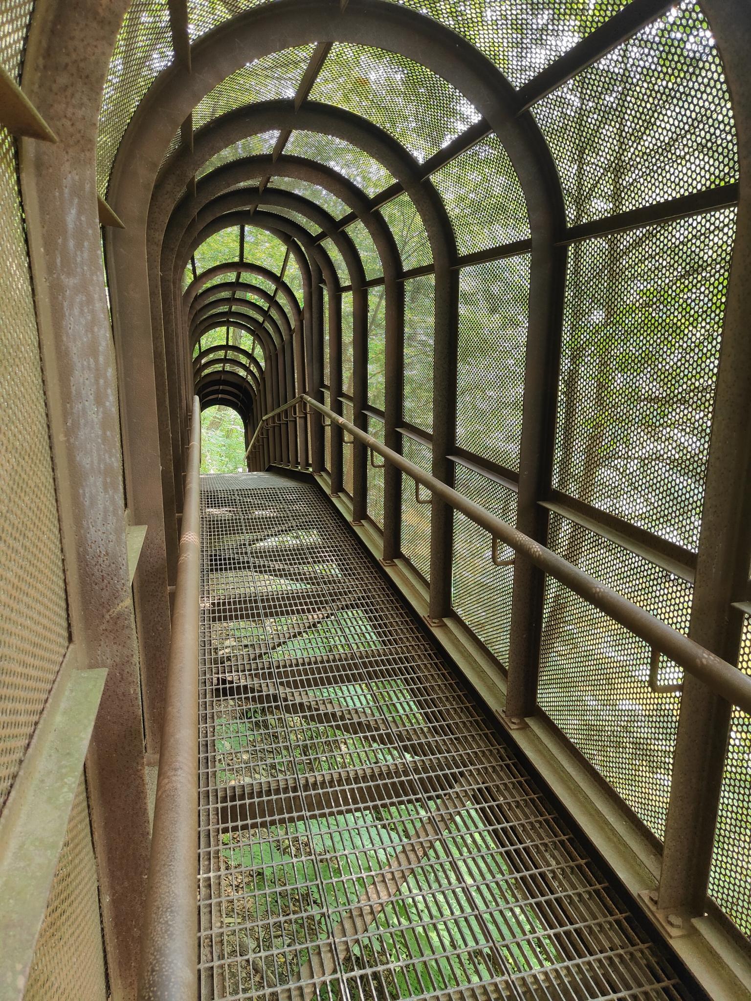 A long, arched metal mesh tunnel walkway descends through green foliage.