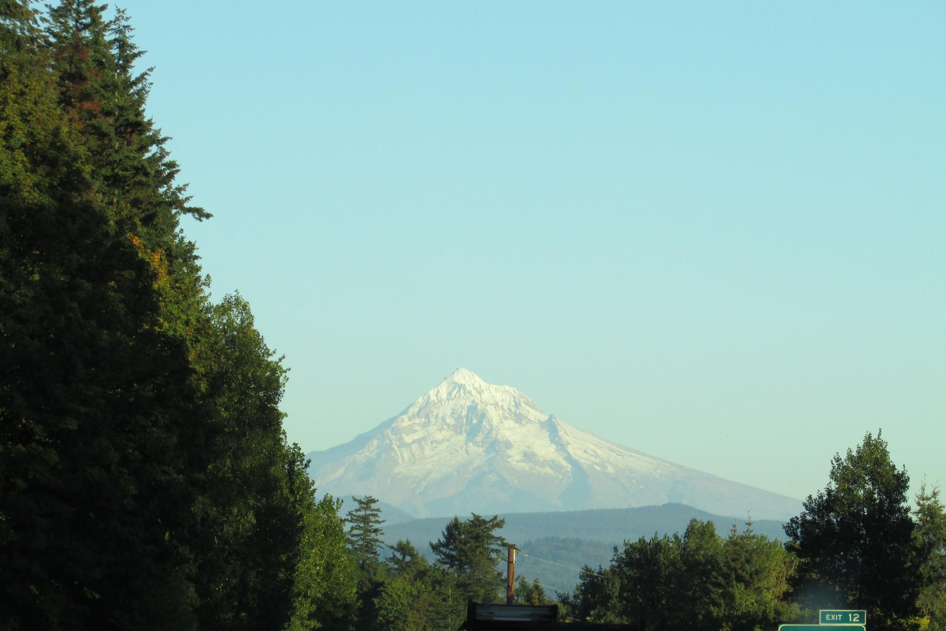 A majestic snow-capped mountain peak under a clear blue sky, framed by trees.