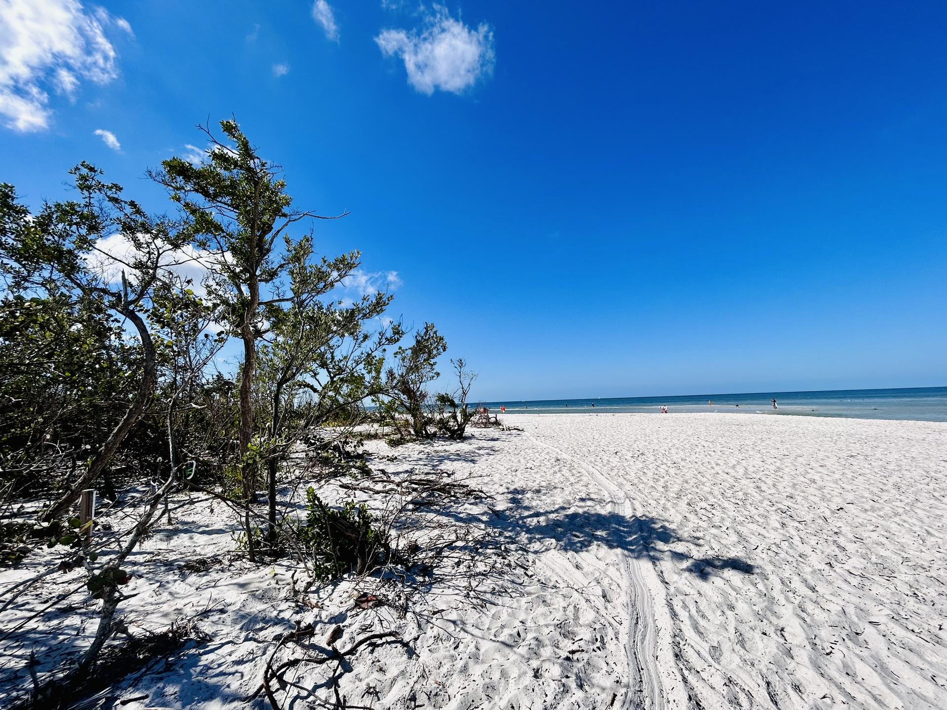 A wide, sunny white sand beach with sparse vegetation and blue sky.