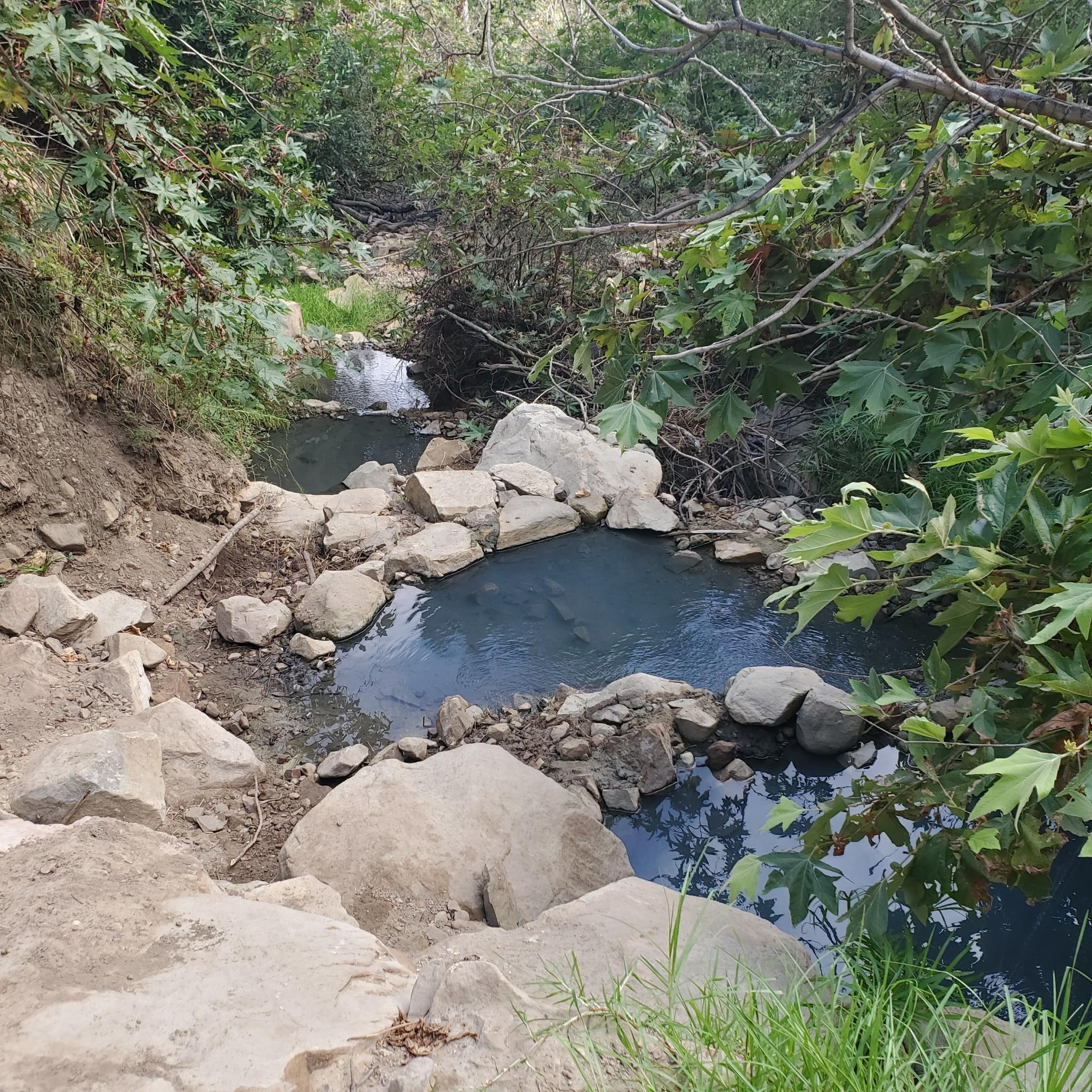 A small, rocky stream flows through lush green foliage under natural light.