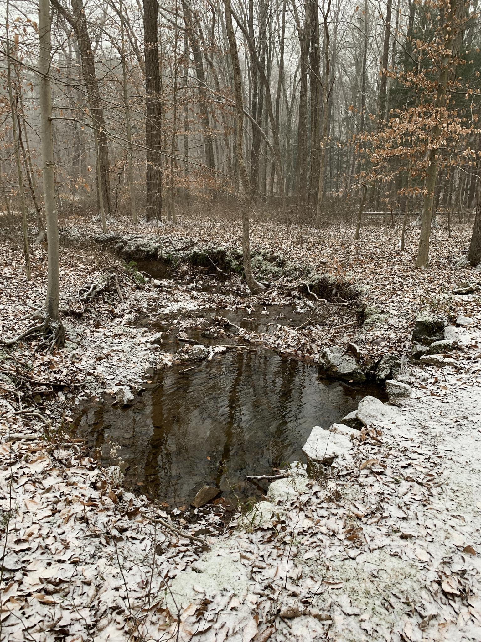 A dark stream winds through a snowy, bare forest under overcast skies.