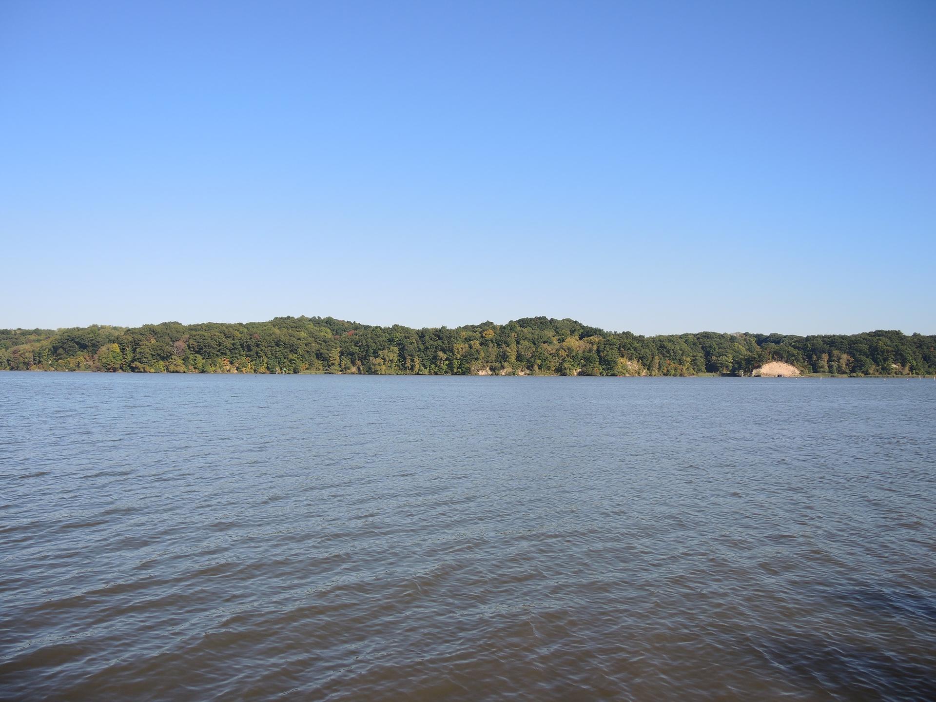 Wide shot of calm water with a distant green forested shoreline under clear sky.