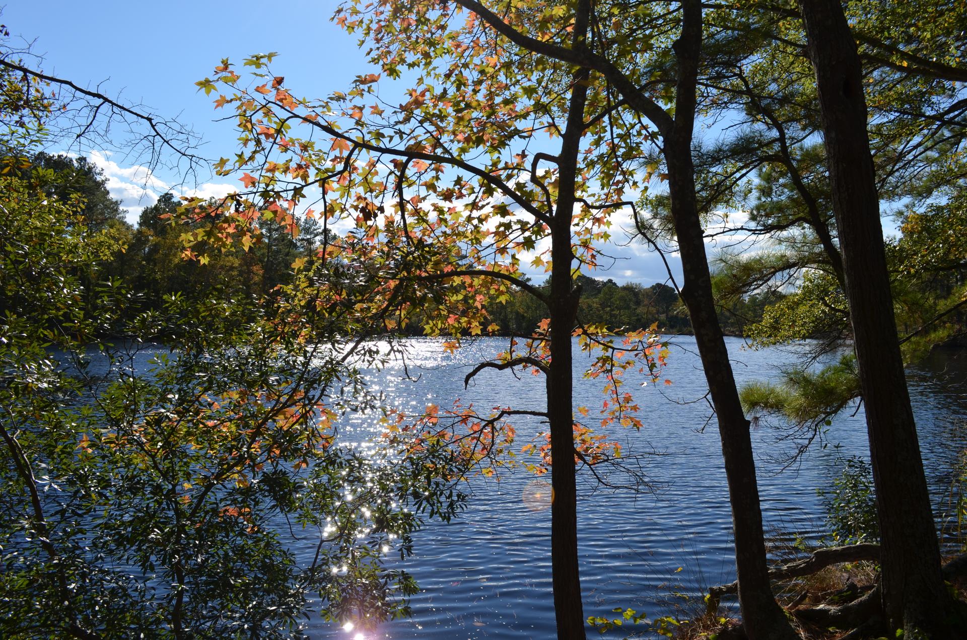 Bright sunlight reflects on a lake, framed by trees with autumn leaves.
