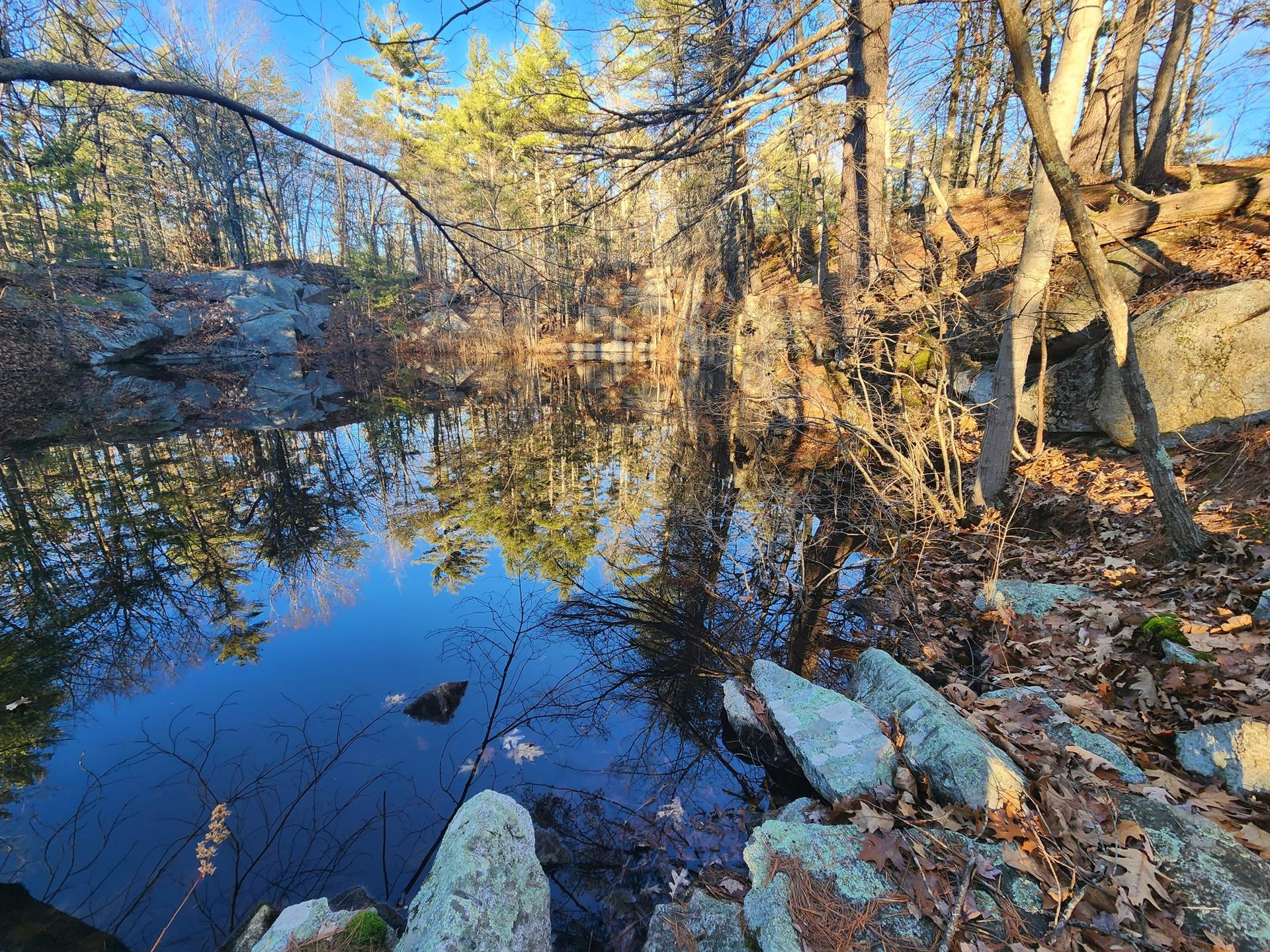 Calm pond reflecting trees and blue sky on a sunny day.
