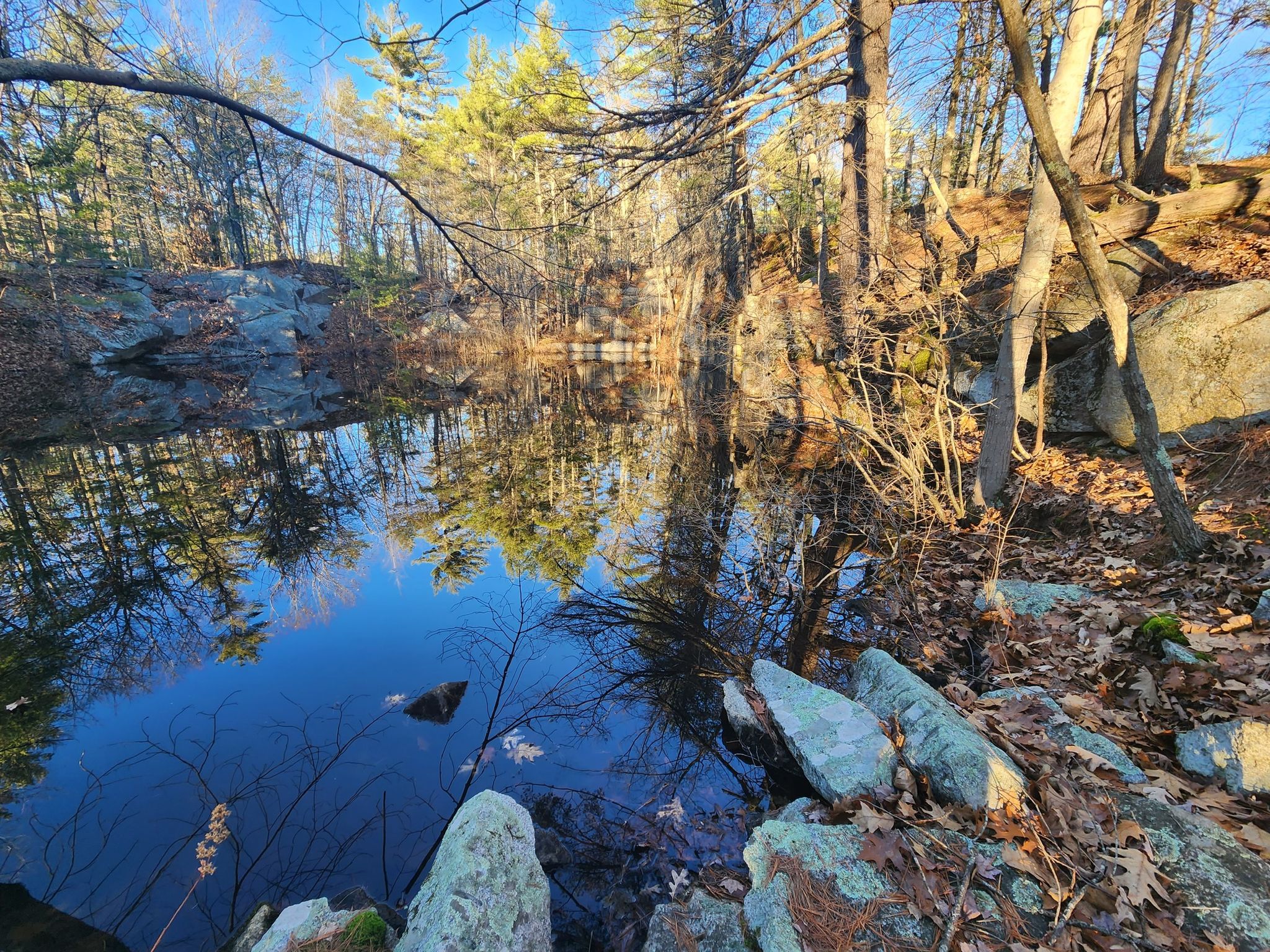 Calm pond reflecting trees and blue sky on a sunny day. - Lamb Loop