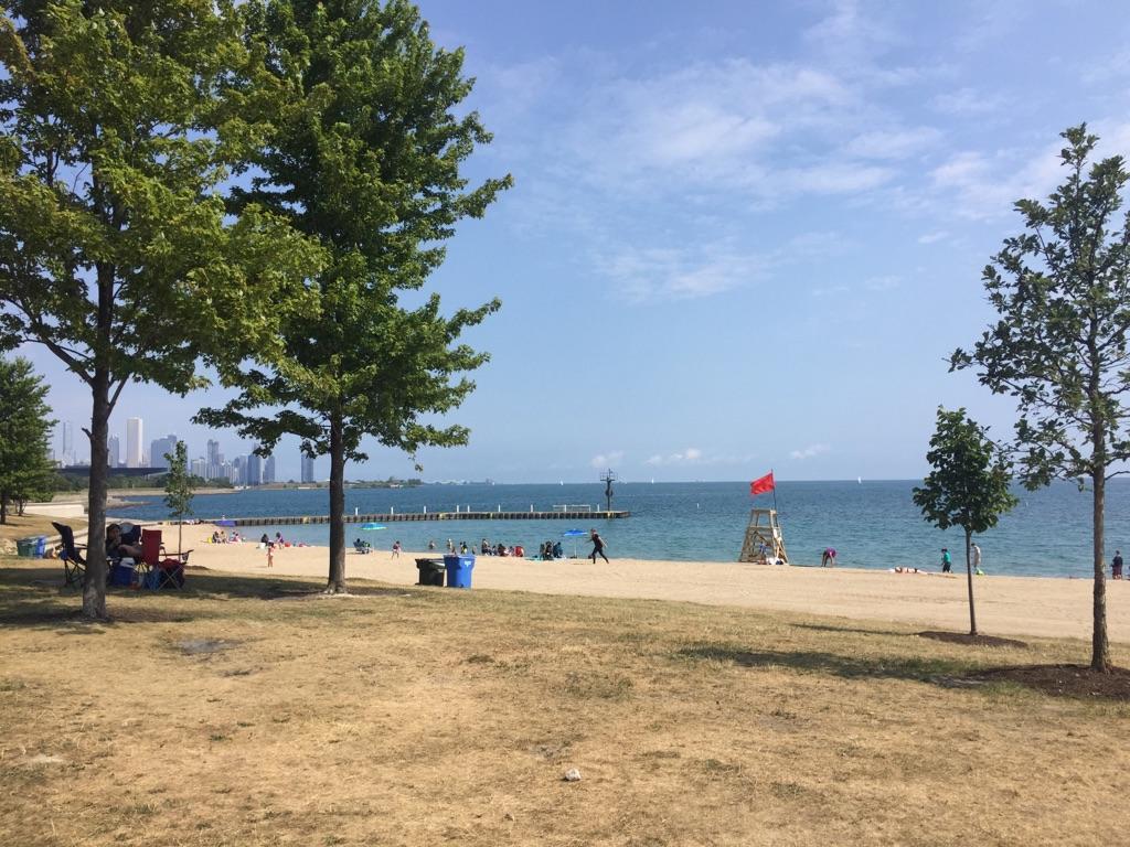 Sandy beach with people, trees, and distant city skyline under blue sky.