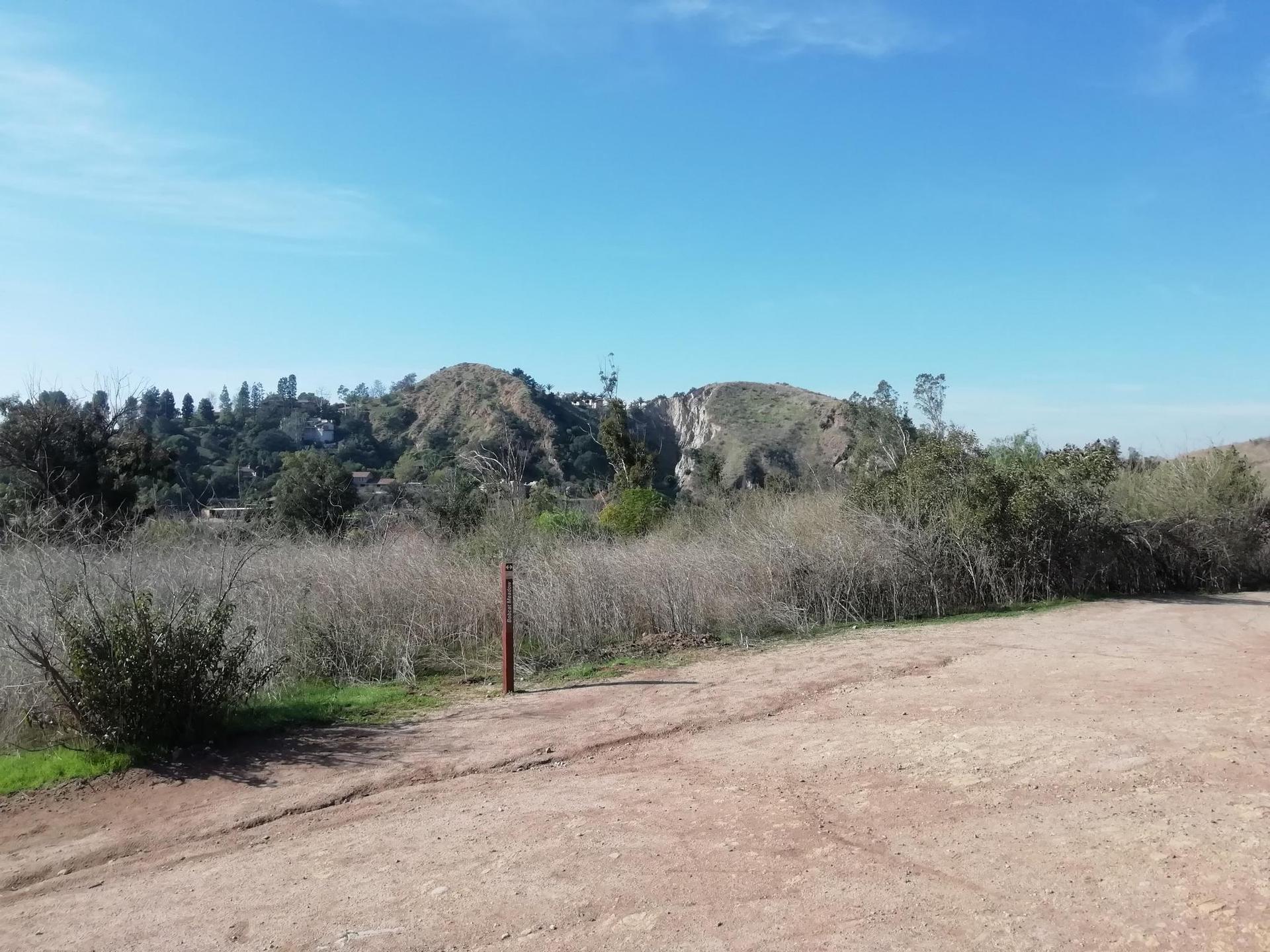 Sunny dirt path leading to dry brush and distant hills under blue sky.