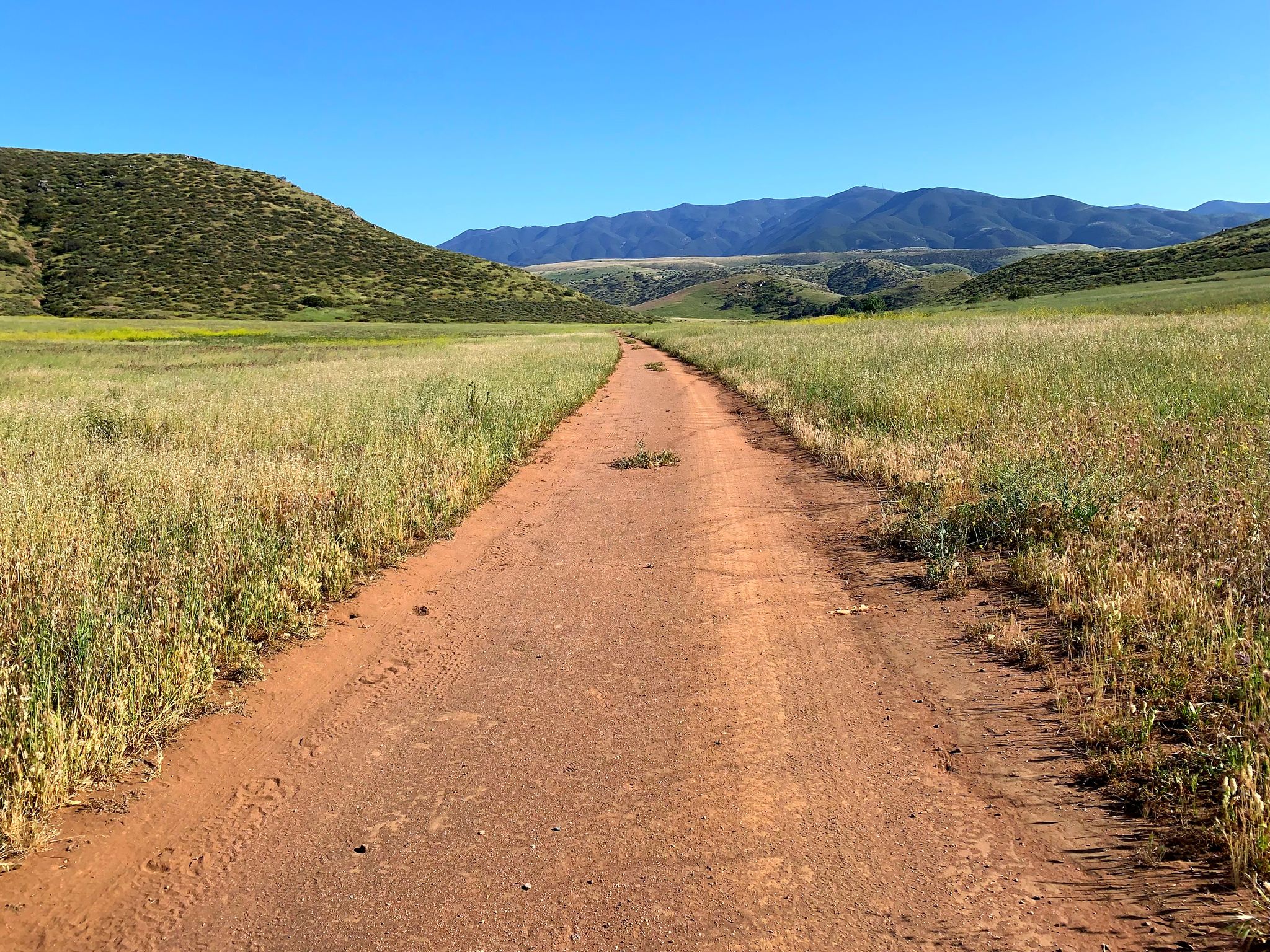A dirt path leads through golden grassy fields towards distant mountains. - Daley Ranch Meadow Trail