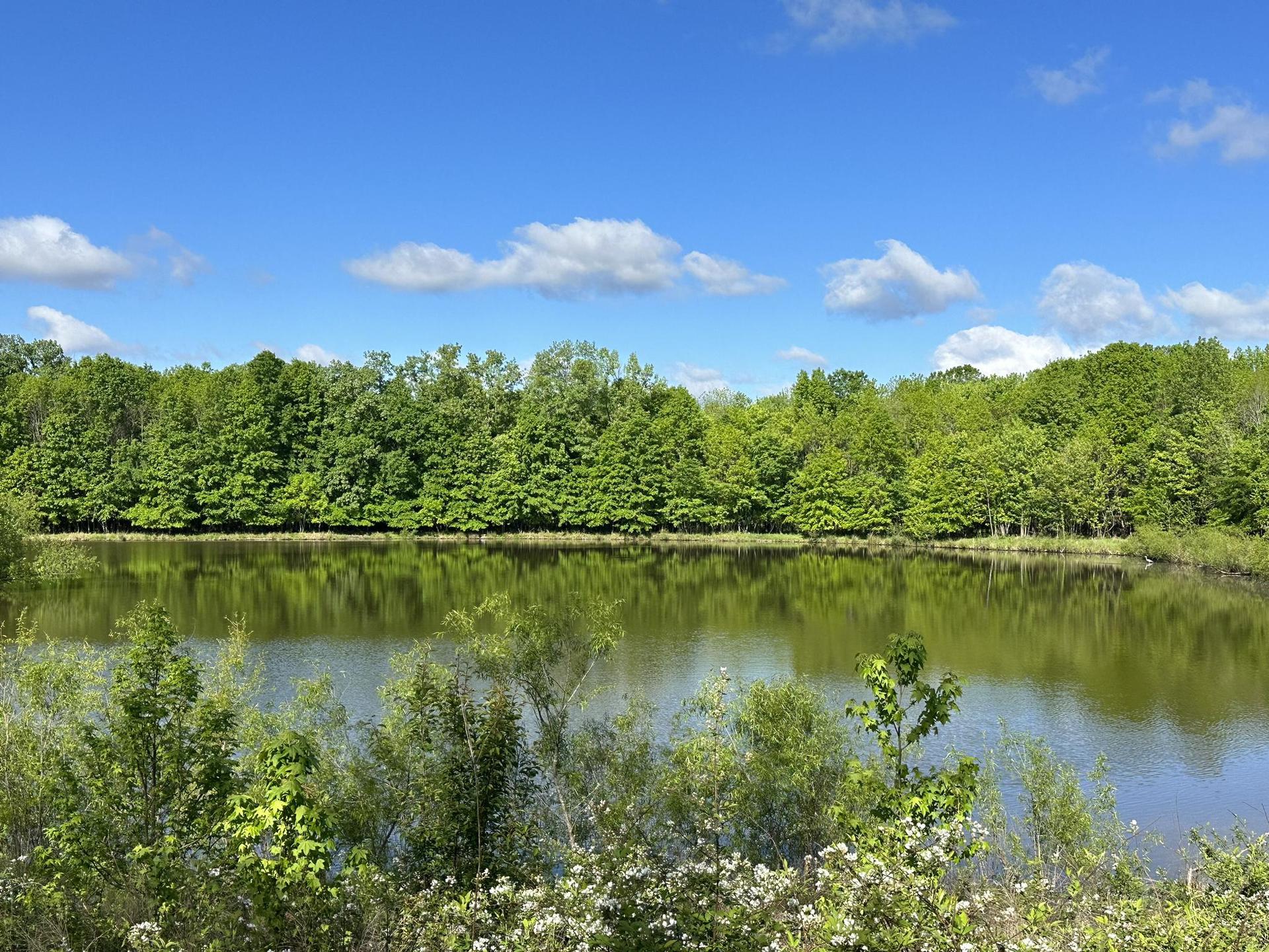 Calm lake reflecting green trees under a bright blue sky with white clouds.