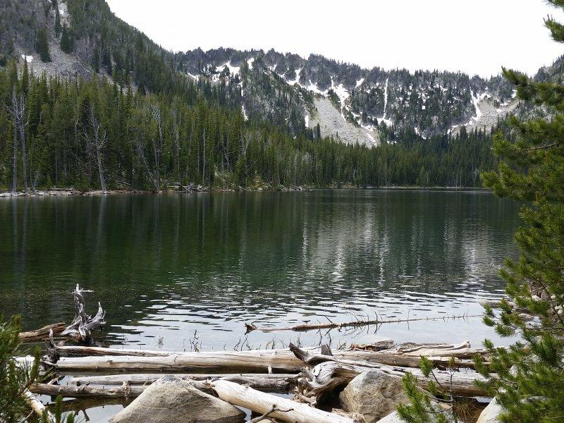Calm lake reflecting pine forests and snowy mountains, with logs in foreground.