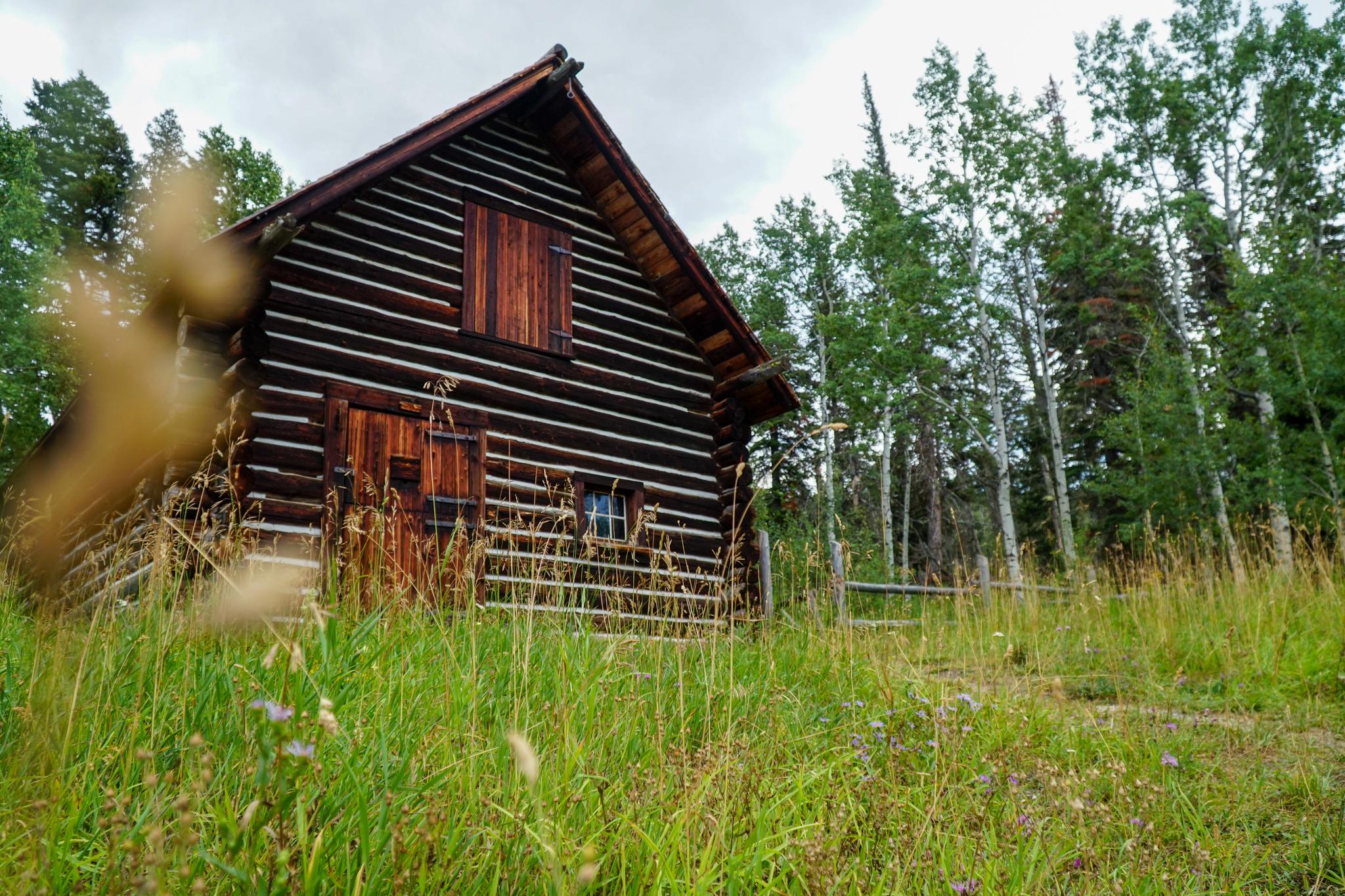Rustic log cabin in a tall grassy field with trees under cloudy sky.