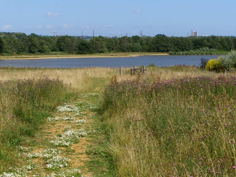 Lower Test Natuurreservaat & Testwood Lakes lus | wandeling | Komoot